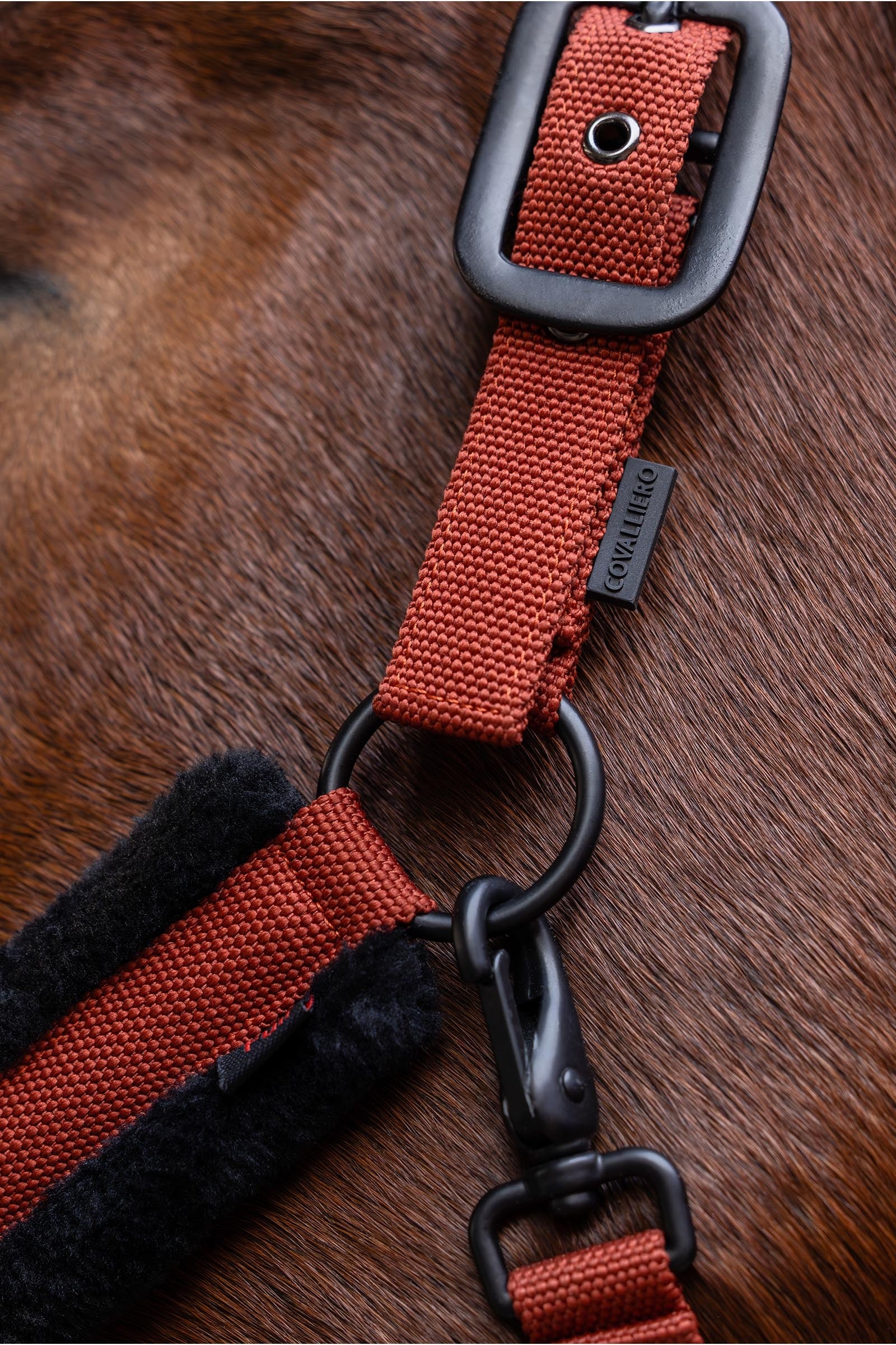 Covalliero Padded Halter Halters & Leads