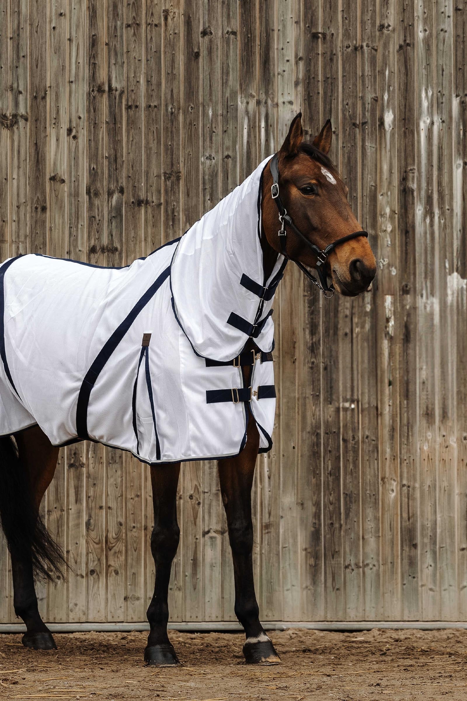 Equi Theme EQUITHÈME Mesh Combo Anti-Insect Sheet Horse Rugs