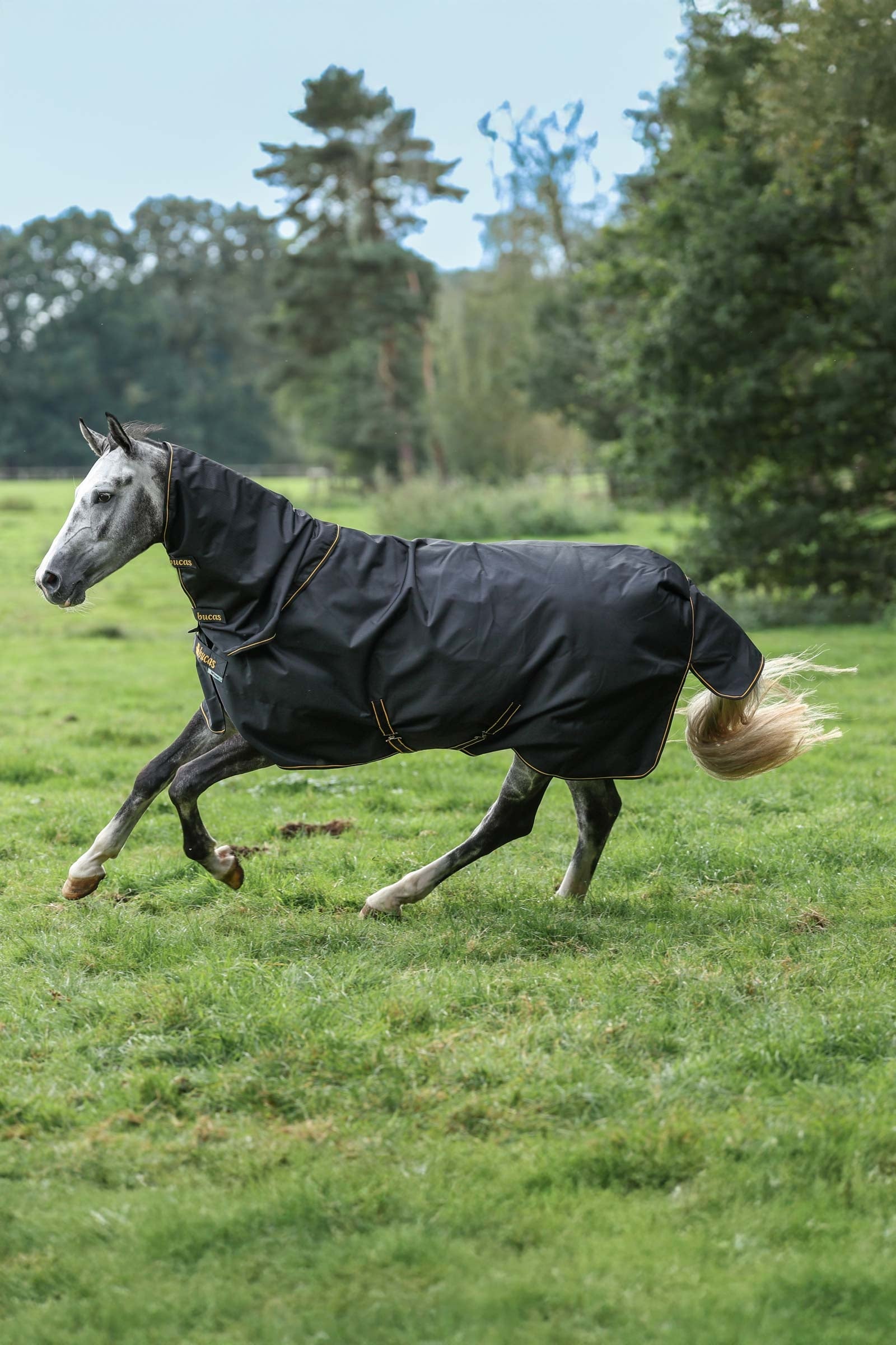 Bucas Irish Turnout 150 g Rug & Neck Set Hästtäcken
