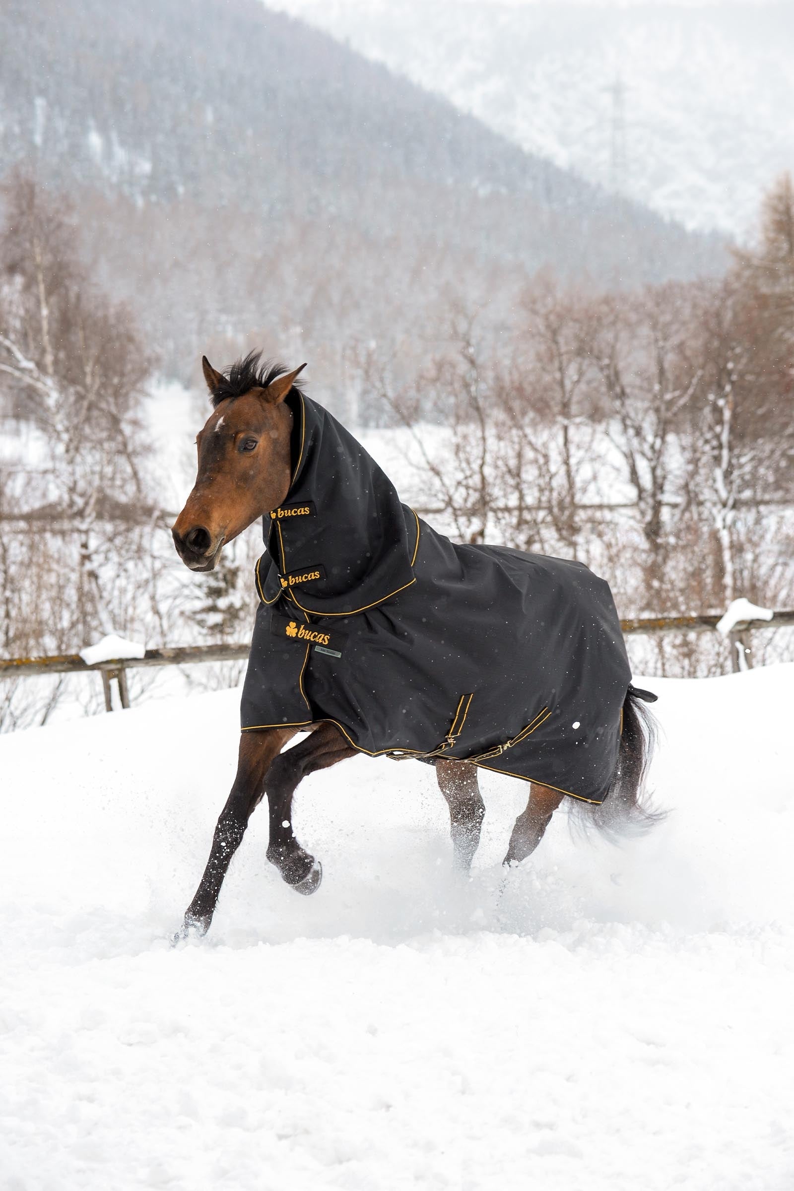 Bucas Irish Turnout 150 g Rug & Neck Set Horse Rugs