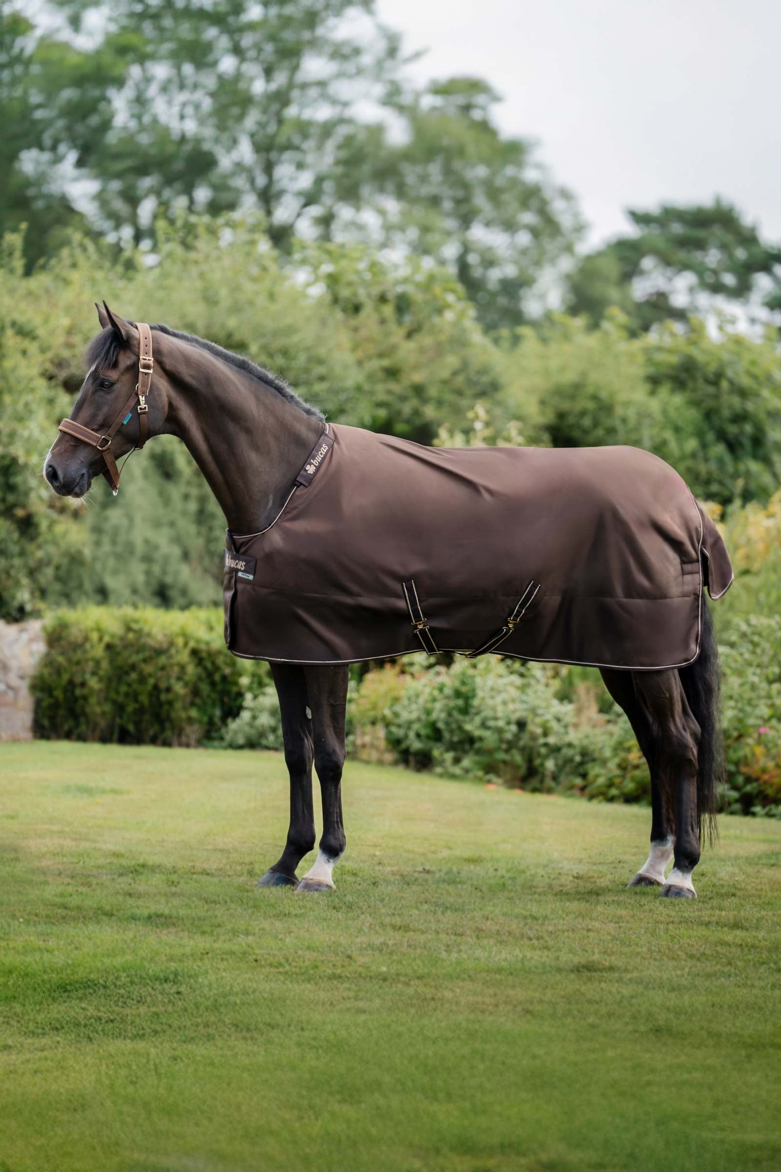 Bucas Irish Turnout 150 g Rug & Neck Set Hästtäcken