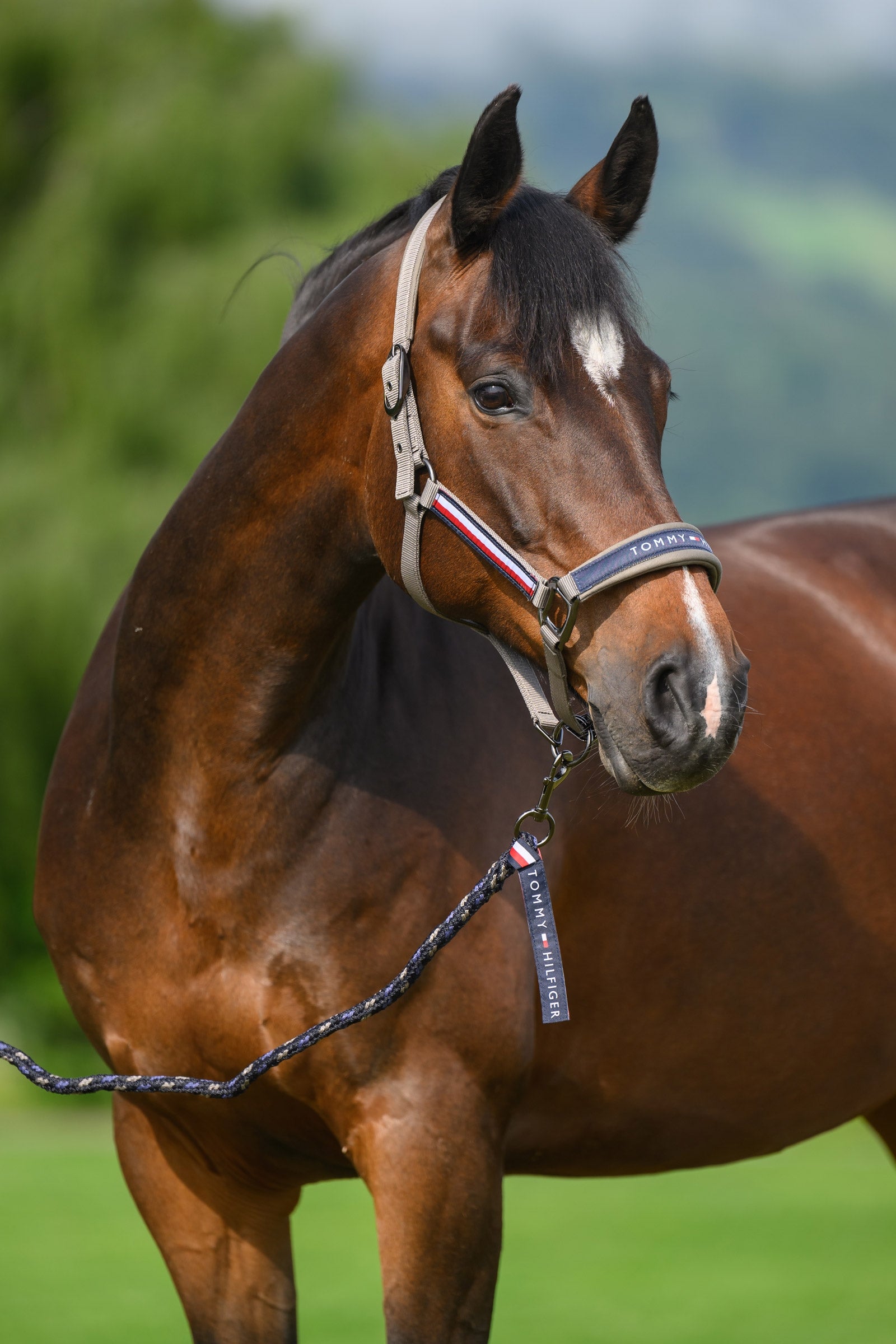 Tommy Hilfiger Equestrian Yale grimma- och grimskaftset Grimma & grimskaft