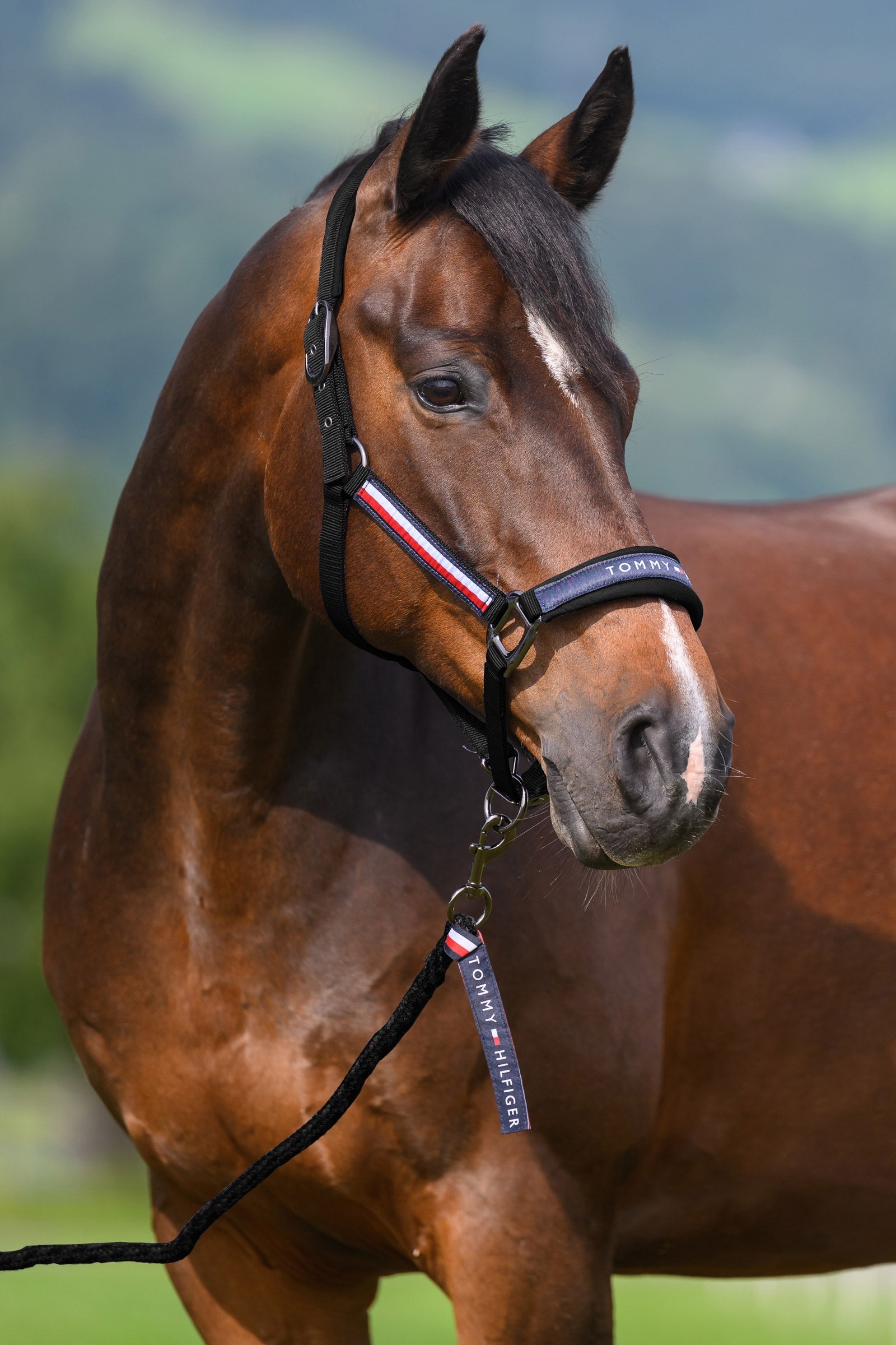 Tommy Hilfiger Equestrian Yale grimma- och grimskaftset Grimma & grimskaft