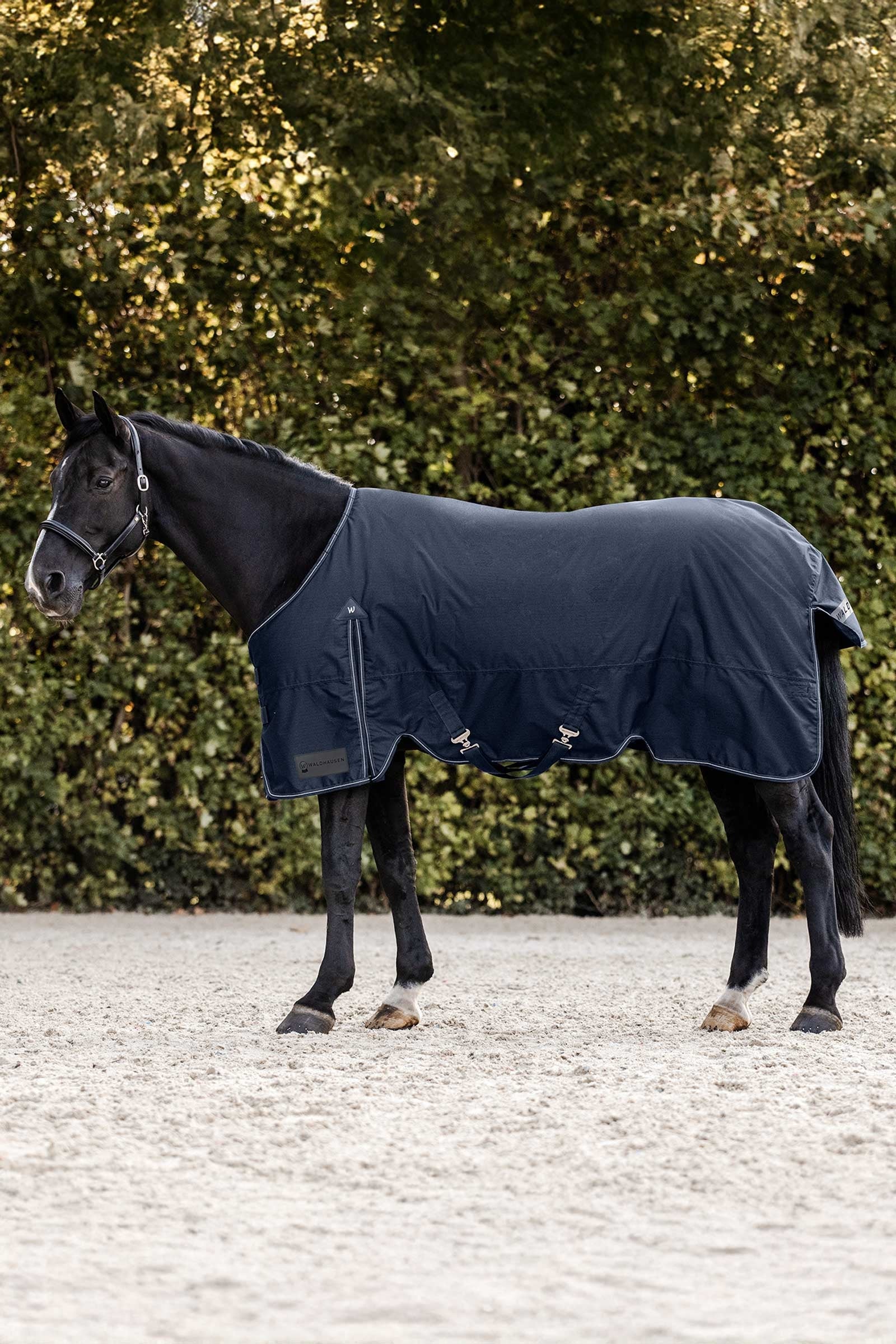 Waldhausen Arctic Turnout Rug, 50 g Horse Rugs