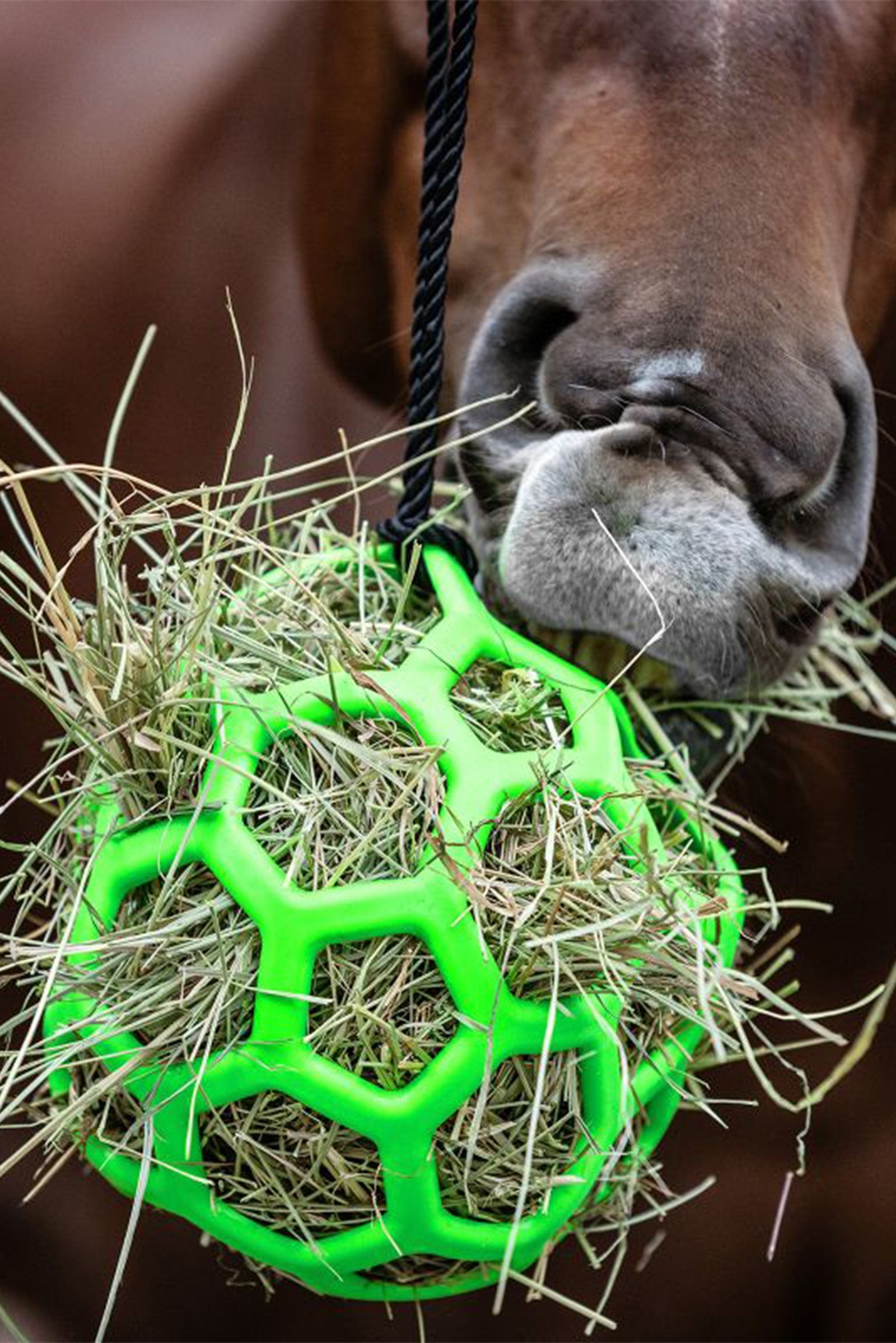 Waldhausen Högaboll Utfodring & vattning