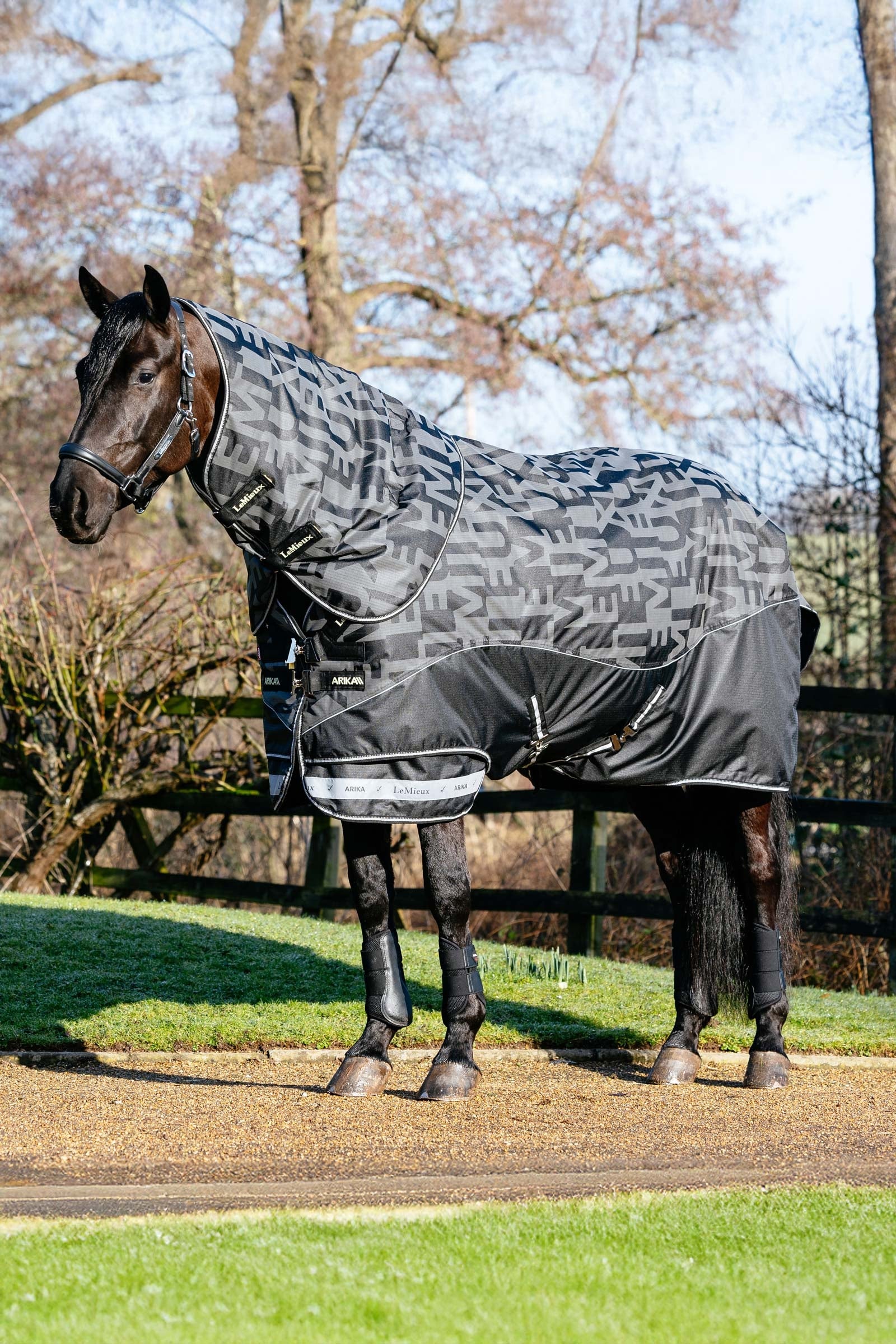 LeMieux Arika Reflective Turnout Rug With Detachable Neck, 200 g Horse Rugs