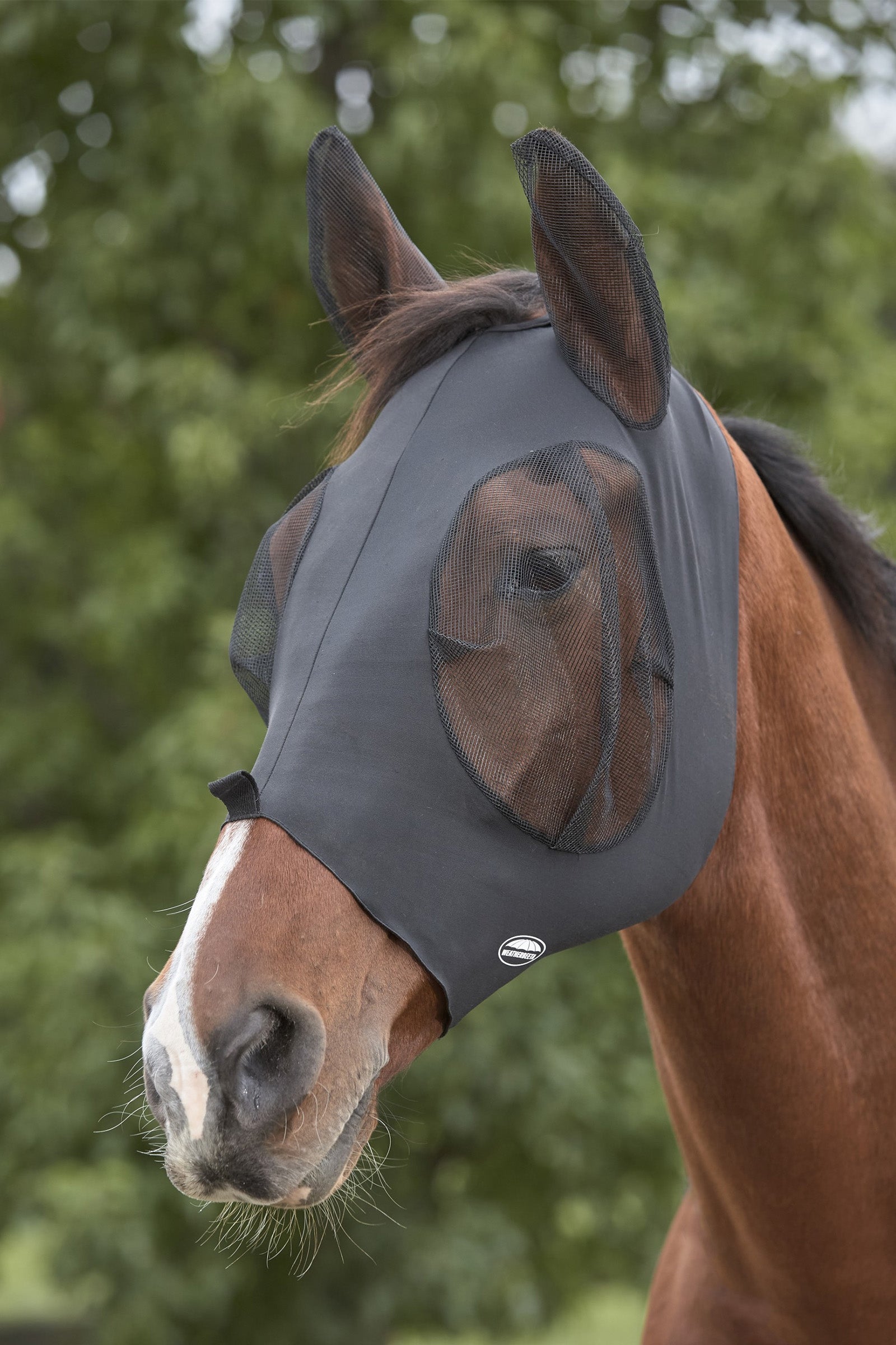 Weatherbeeta Deluxe  Stretch Bug Eye Saver with Ears Antifly Protection for Horses