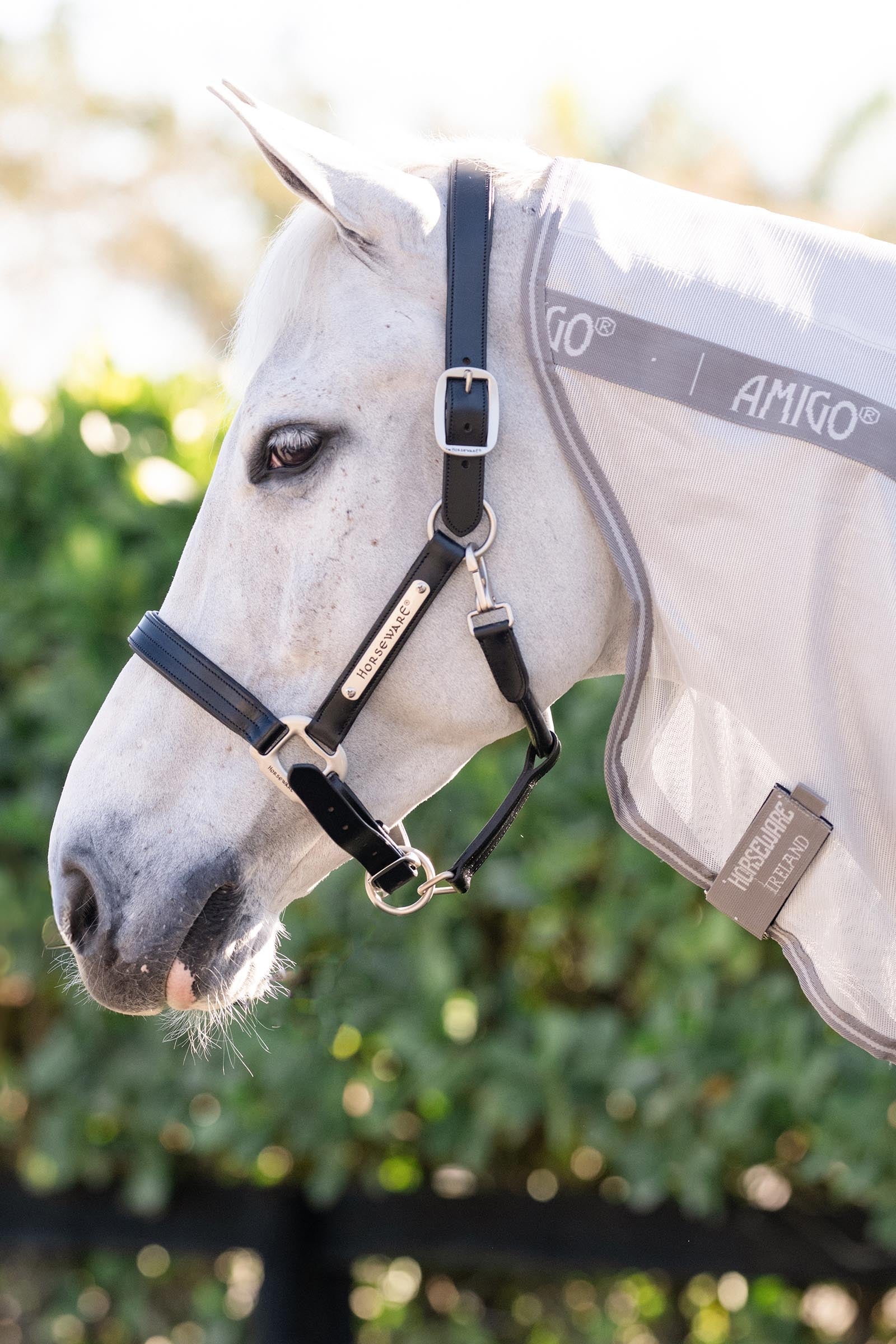 Horseware Amigo Integrated Fly Sheet Horse Rugs