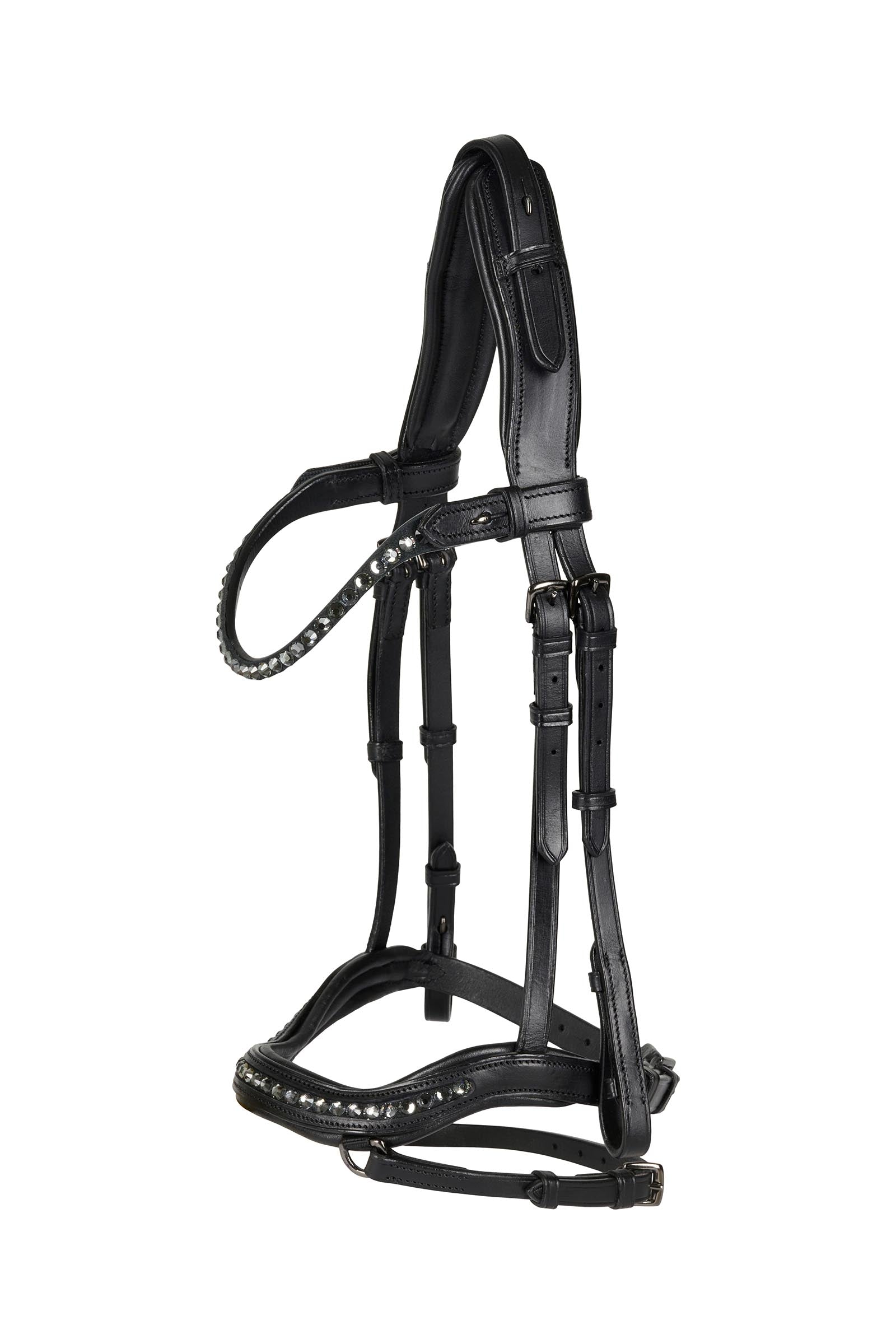Catago Raja Icelandic Bridle Träns & Tyglar