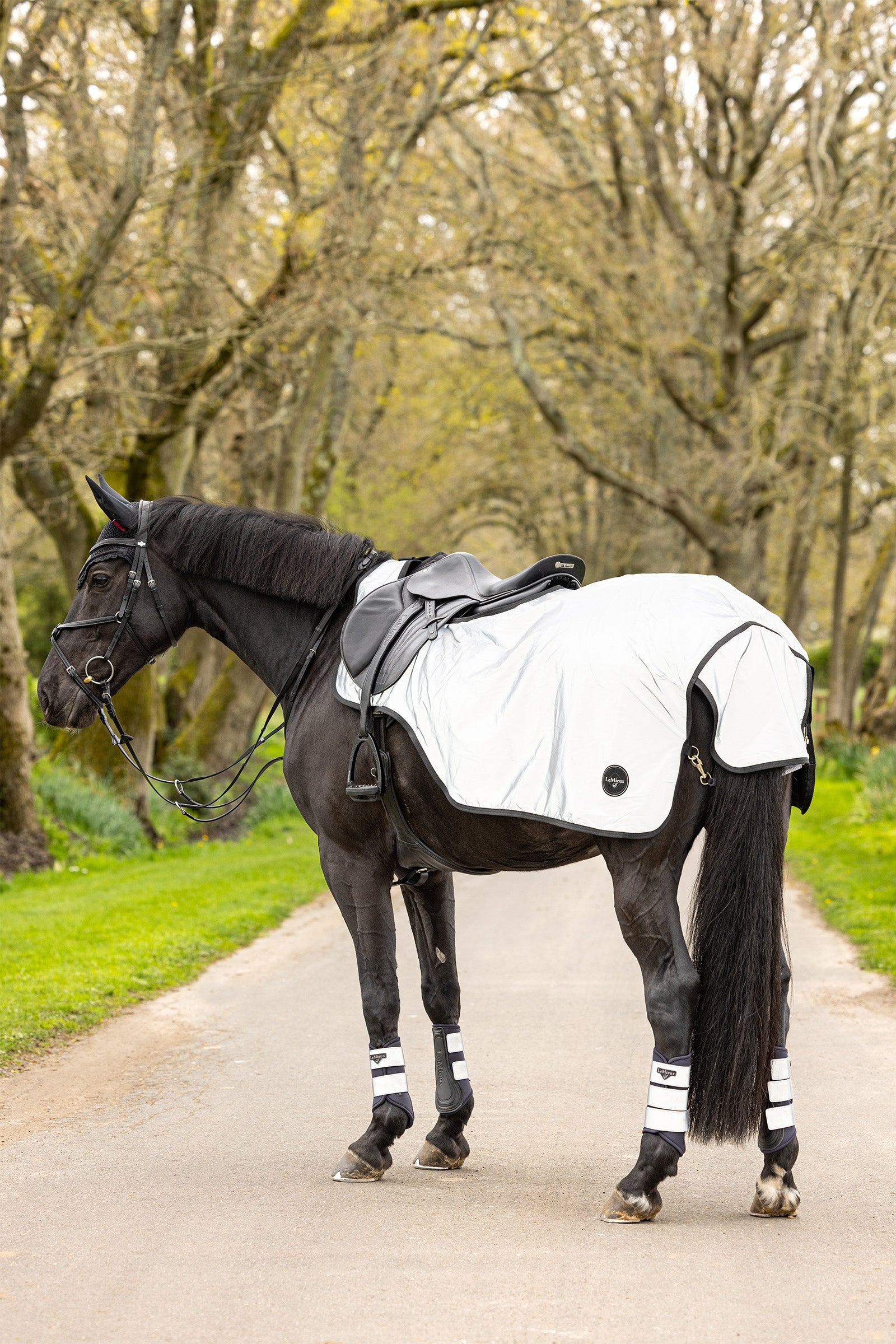 LeMieux Reflective Exercise Sheet Horse Rugs