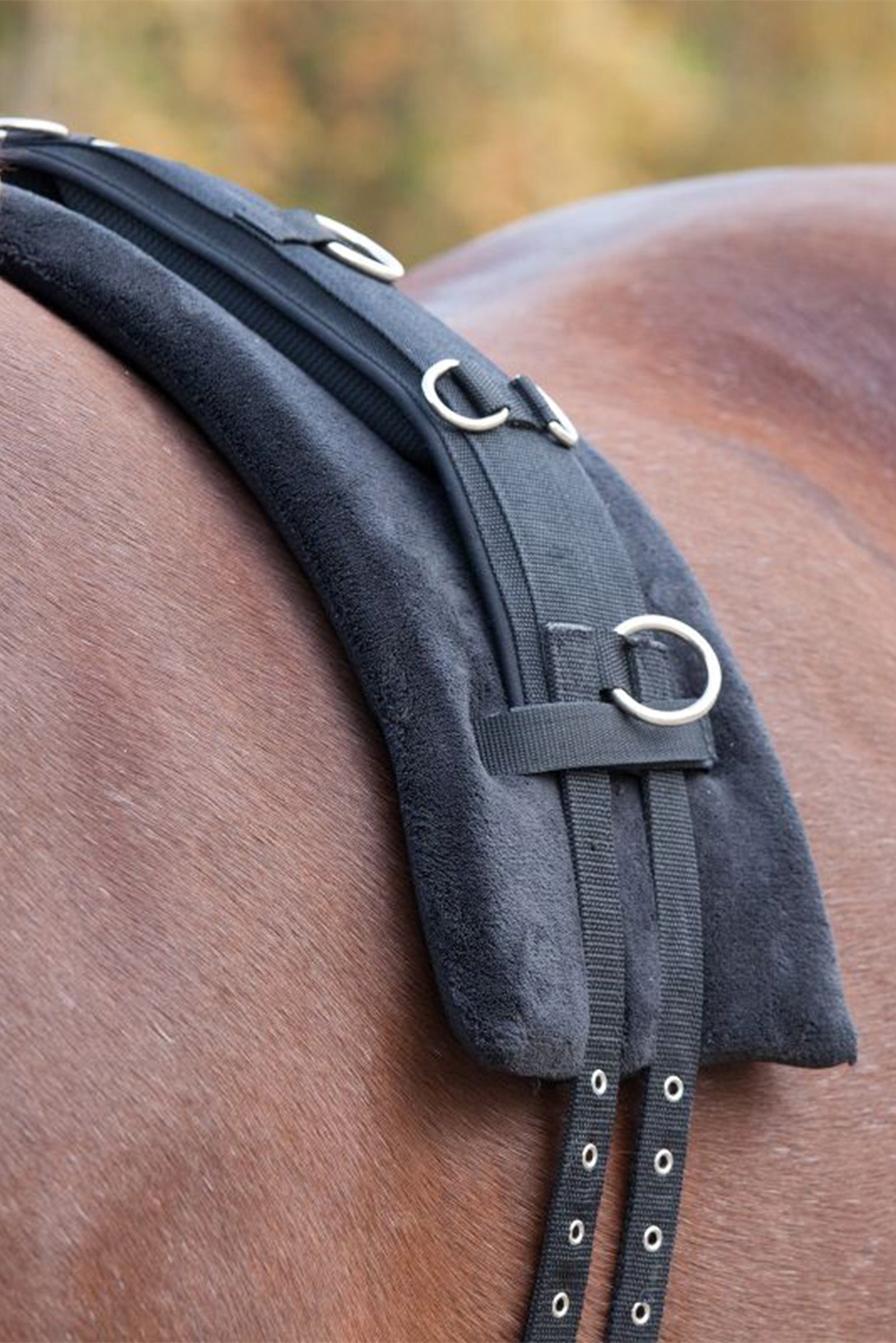 Waldhausen Memory Foam surcingle-pad Träning & longering