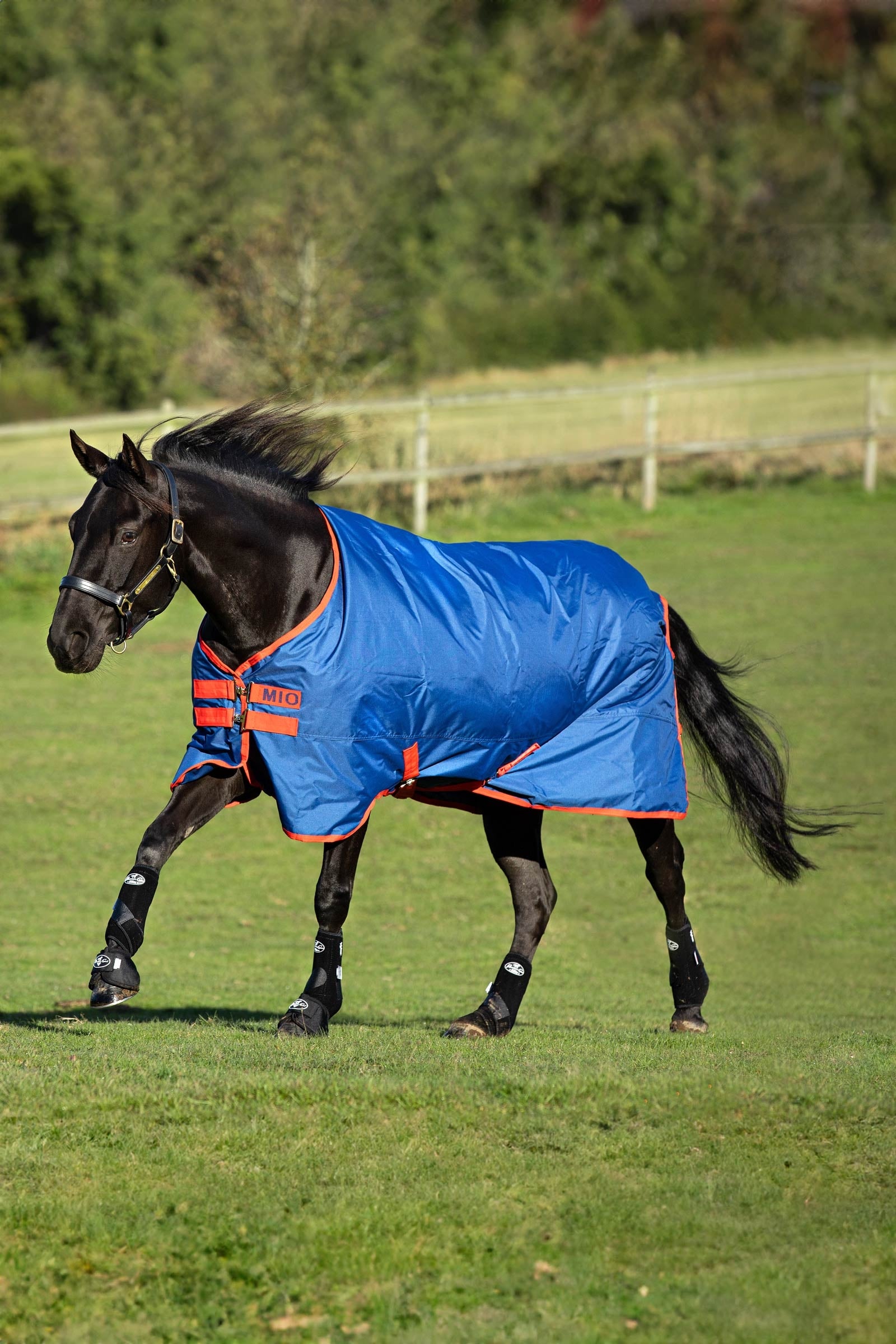 Horseware Mio Turnout Rug, 0g Horse Rugs