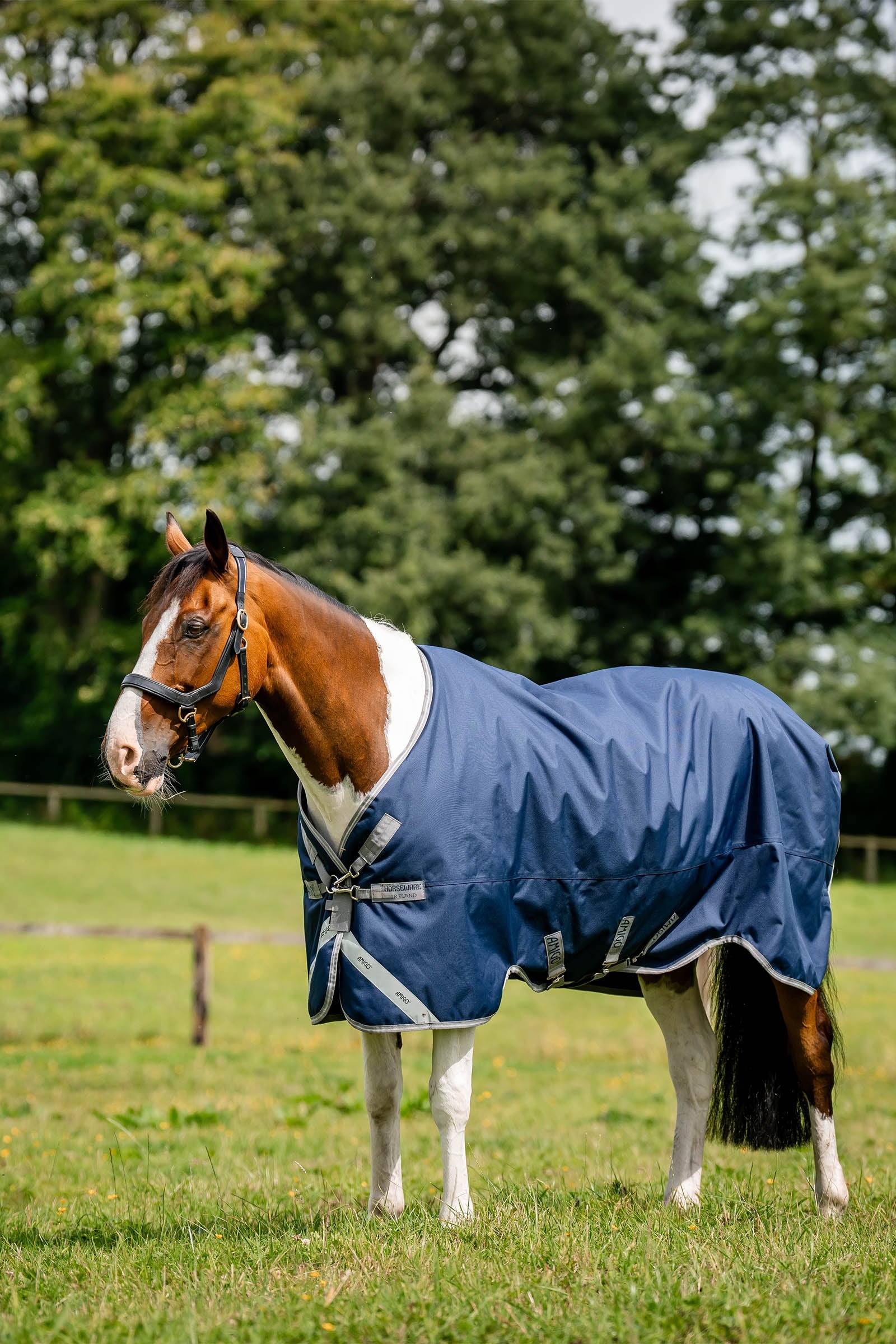 Horseware Amigo 1200D utetäcke, 50 g Hästtäcken