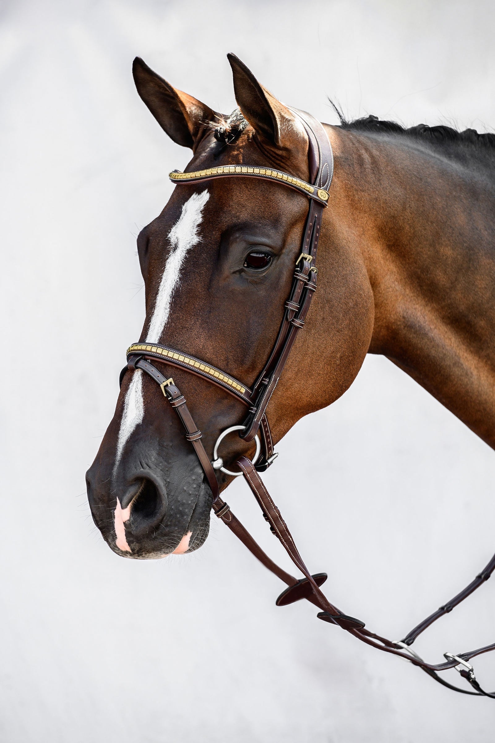 PS of Sweden Antwerp 2.0 Bridle Träns & Tyglar