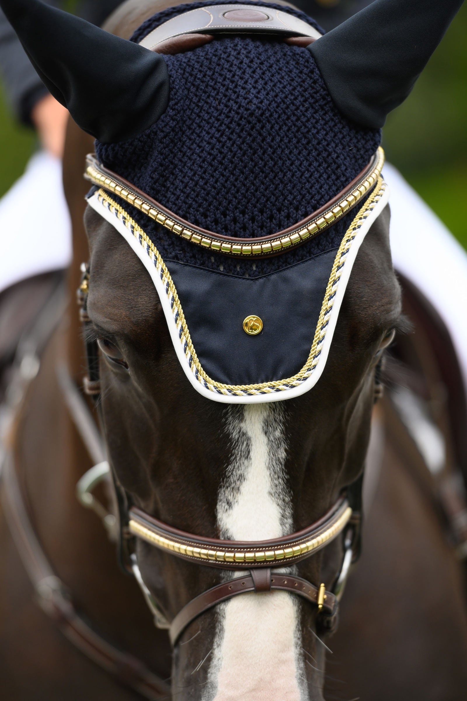 PS of Sweden Antwerp 2.0 Bridle Bridles & Reins