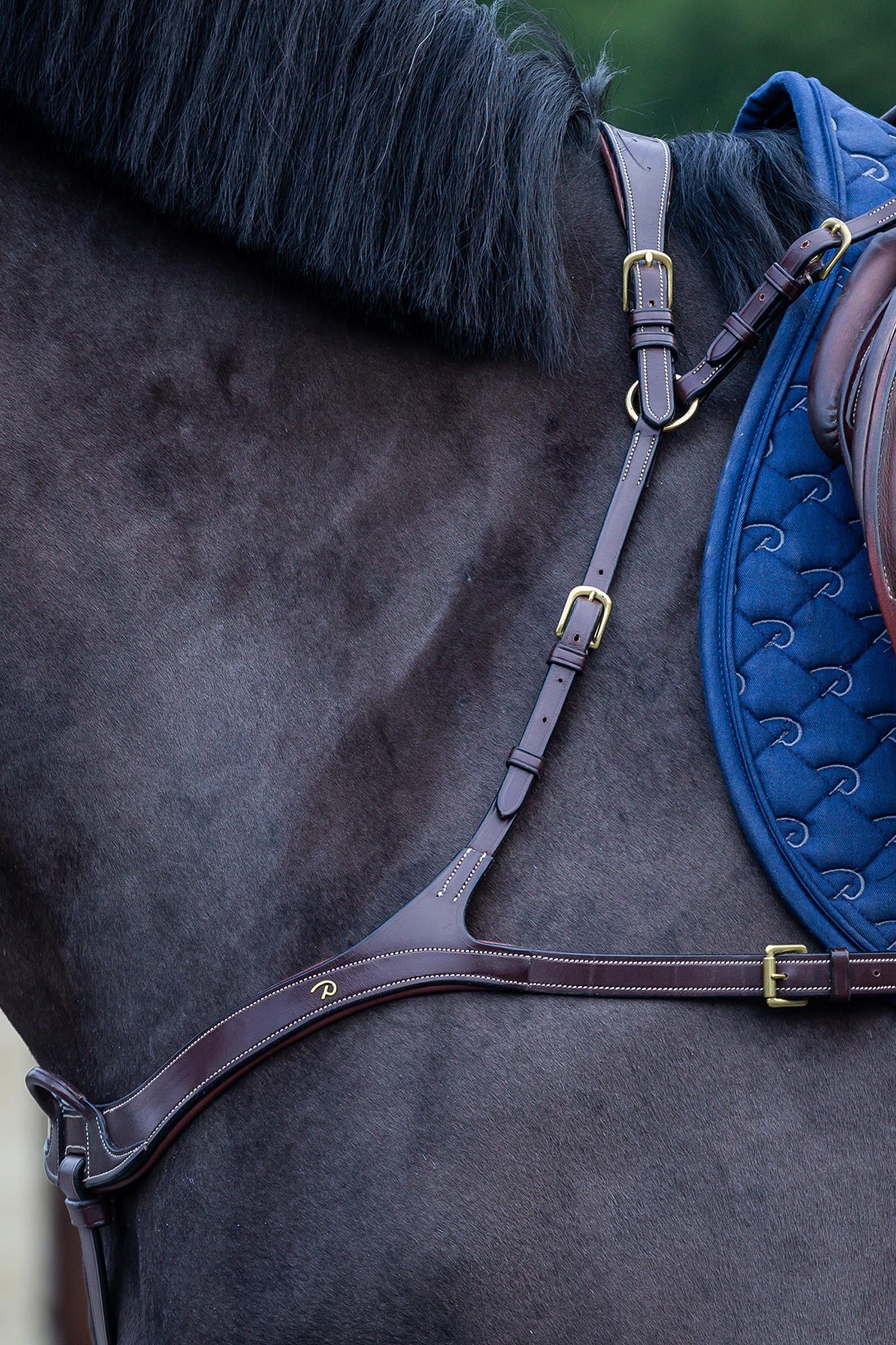 Dy'on D Collection anatomiskt brösta Träns & Tyglar