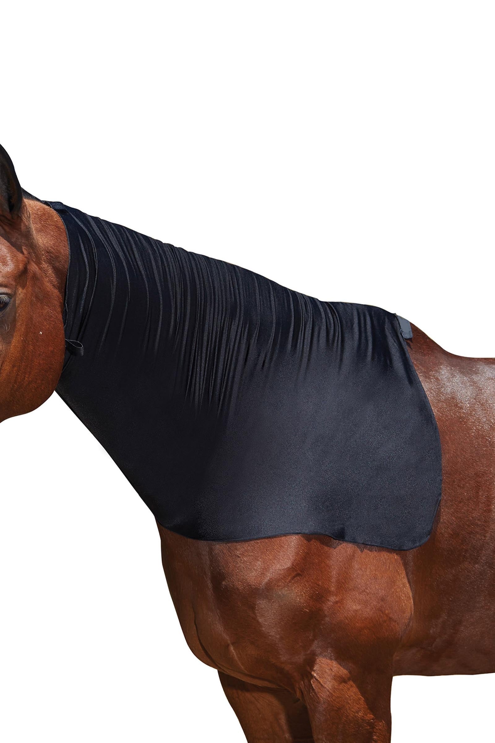 Weatherbeeta Stretch Neck Rug Horse Rugs