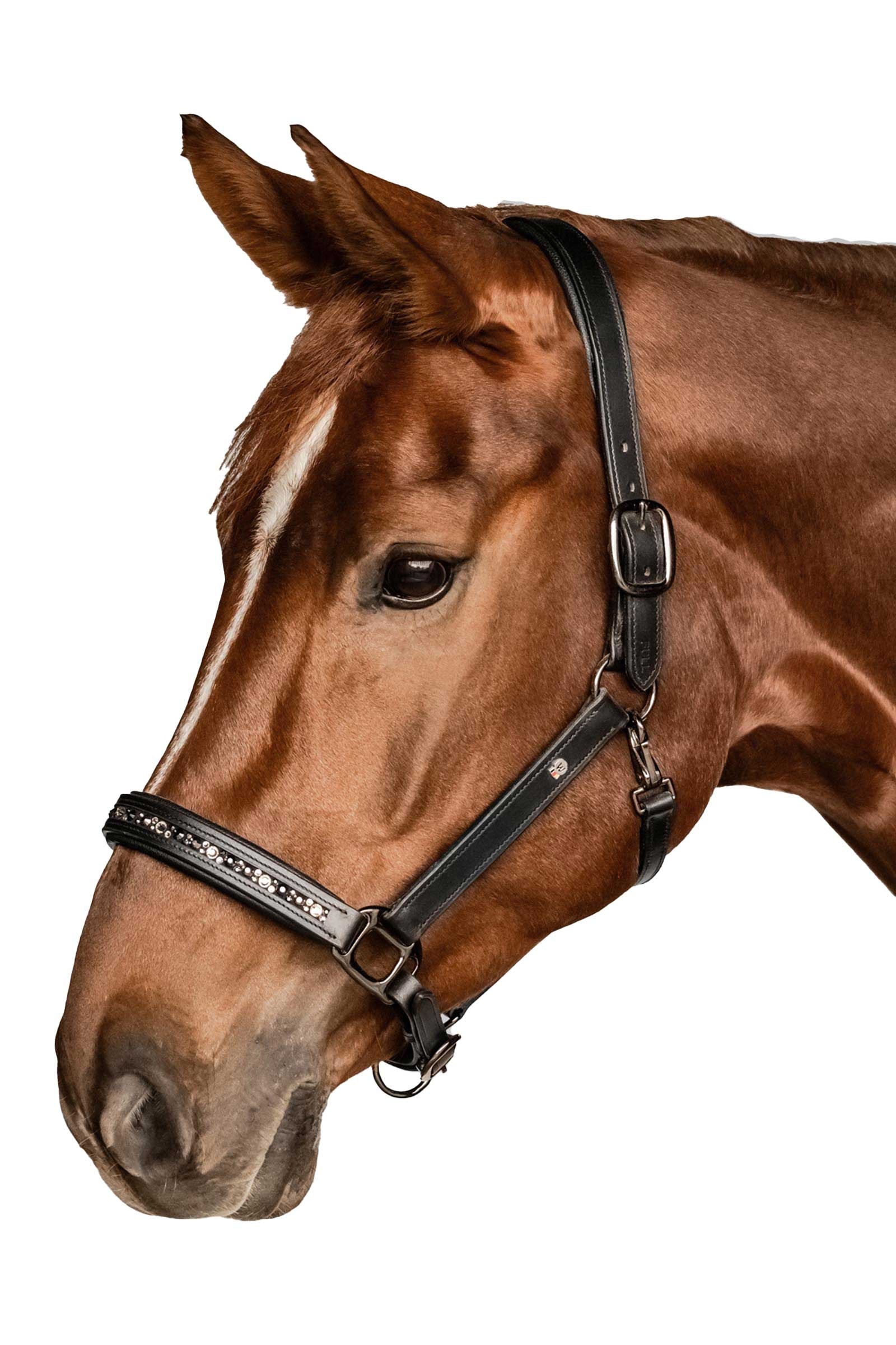 Waldhausen X-Line Leather halter Crystal Halters & Leads