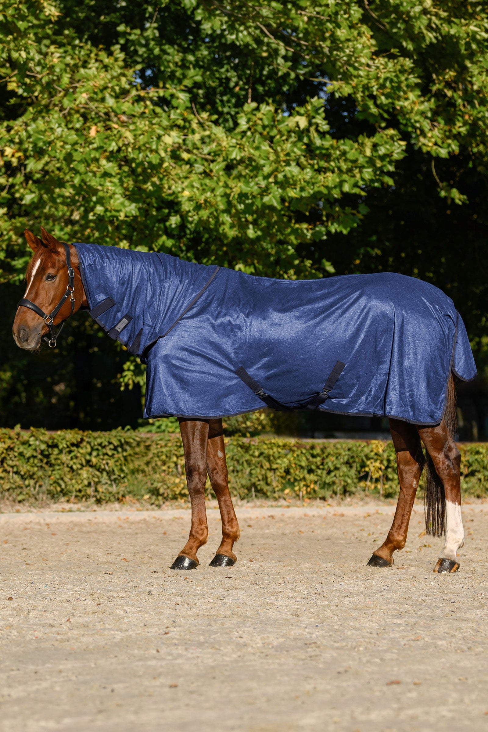 Waldhausen FlyControl Fly Rug With Neck and UV-Protection Horse Rugs
