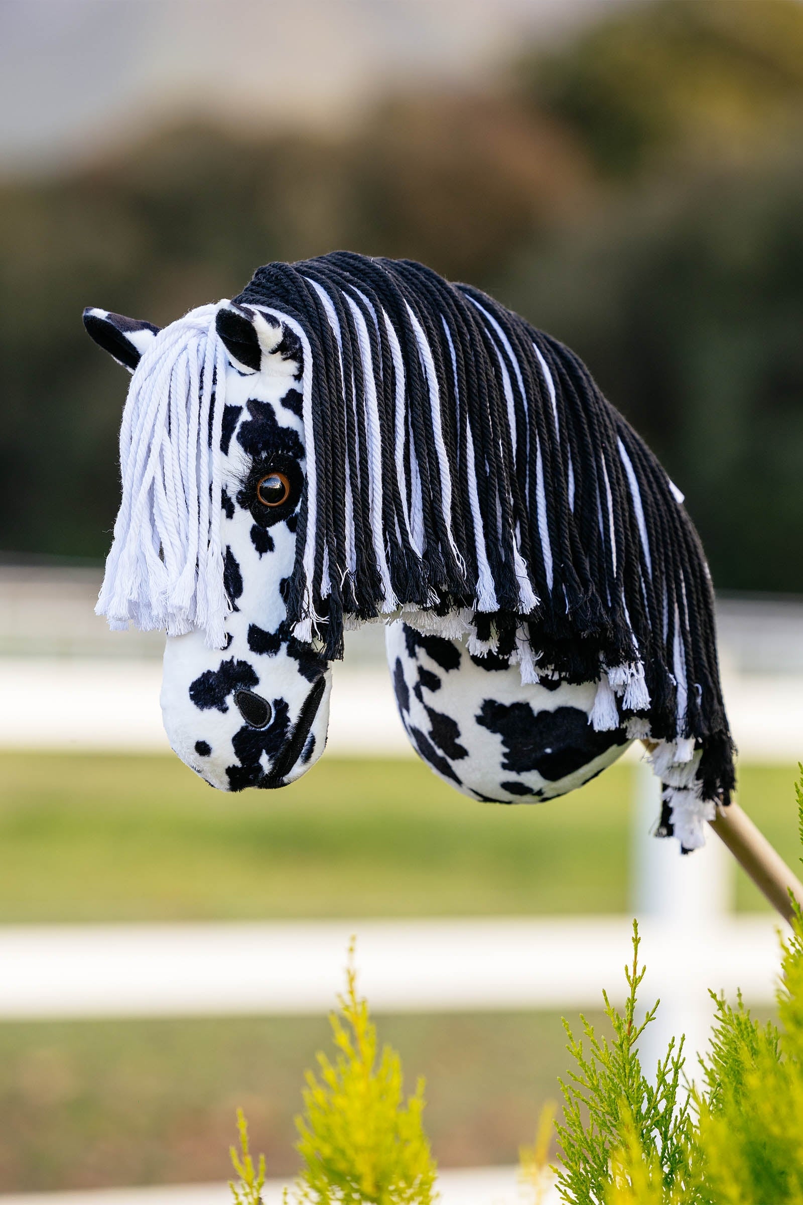 LeMieux Dakota Hobby Horse Gifts & Toys