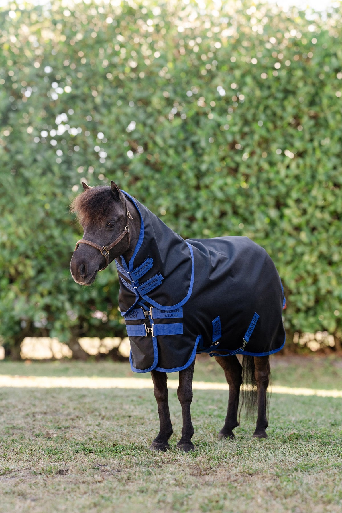 Horseware Amigo Ripstop 900D Plus Petite utetäcke med avtagbar halsdel, 0 g Hästtäcken
