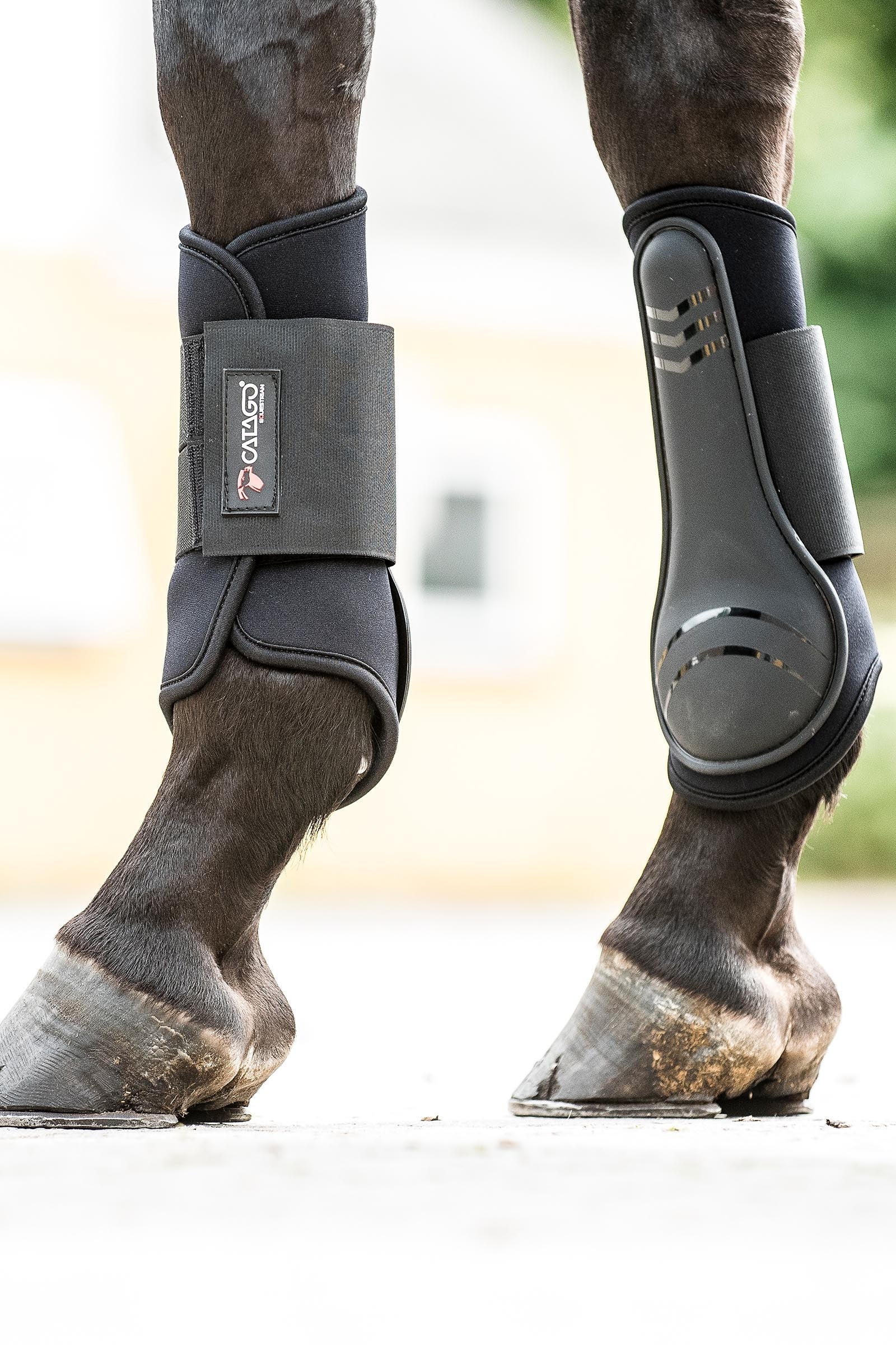 Catago Neoprene Dressage Boots Leg Protection & Hoof Protection for Horses