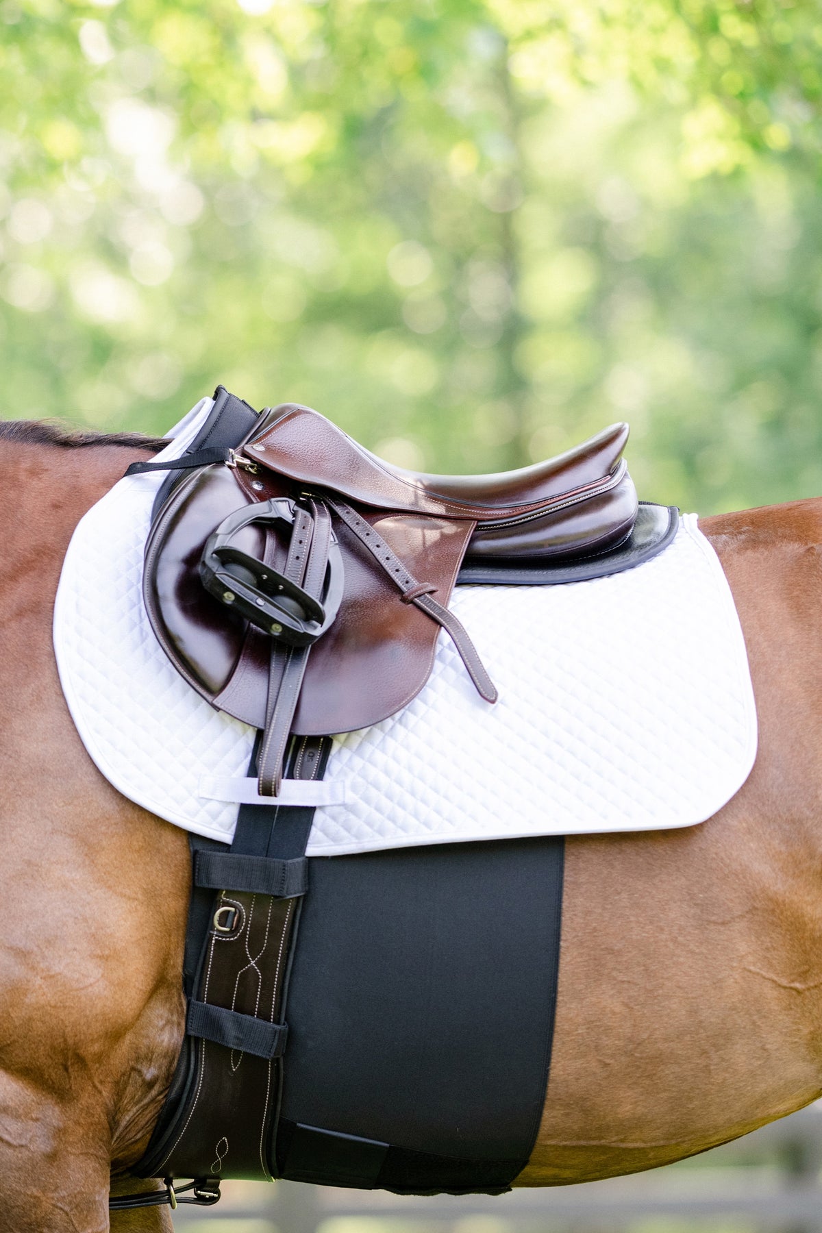 EquiFit BellyBand®+ Horse Rugs