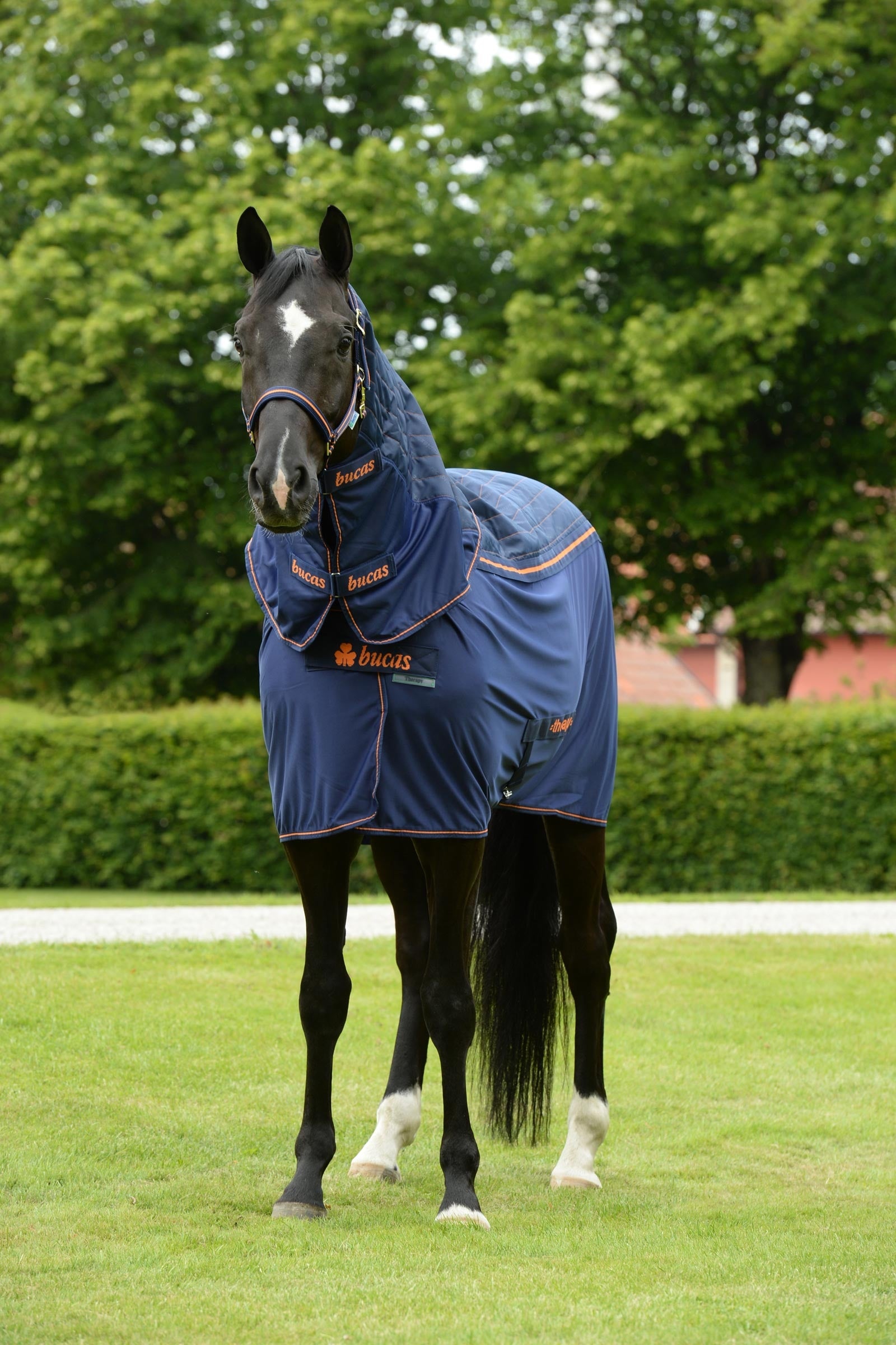 Bucas Therapy Cooler Neck Horse Rugs