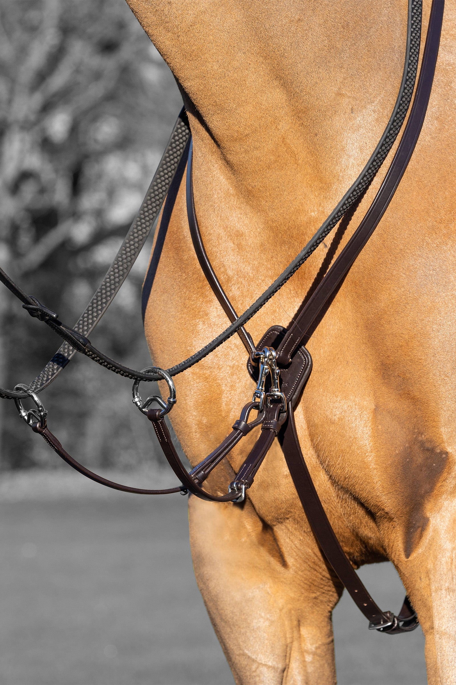 LeMieux Kudos Running Martingale Bridles & Reins