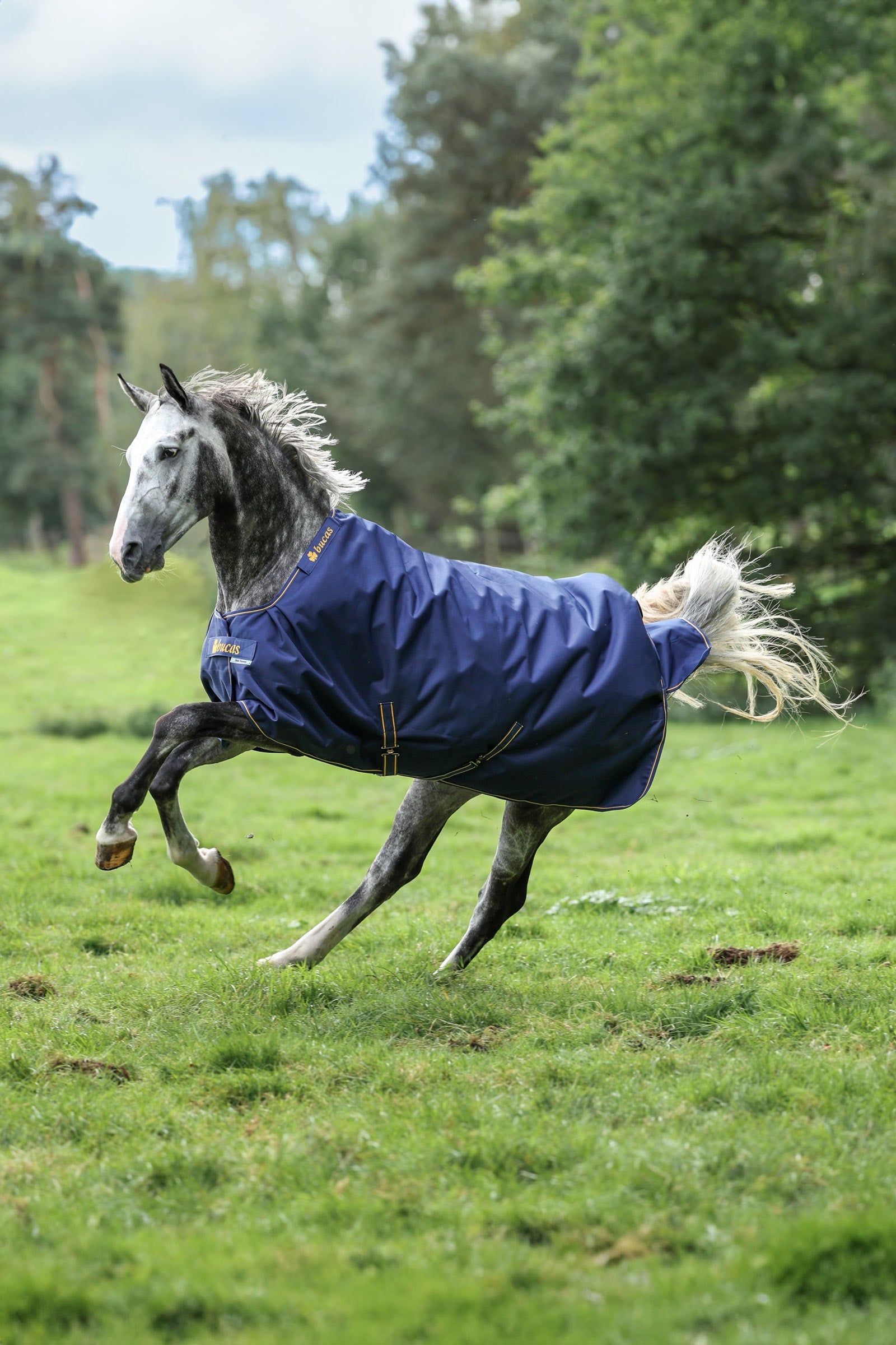 Bucas Irish utetäcke, 150g Hästtäcken