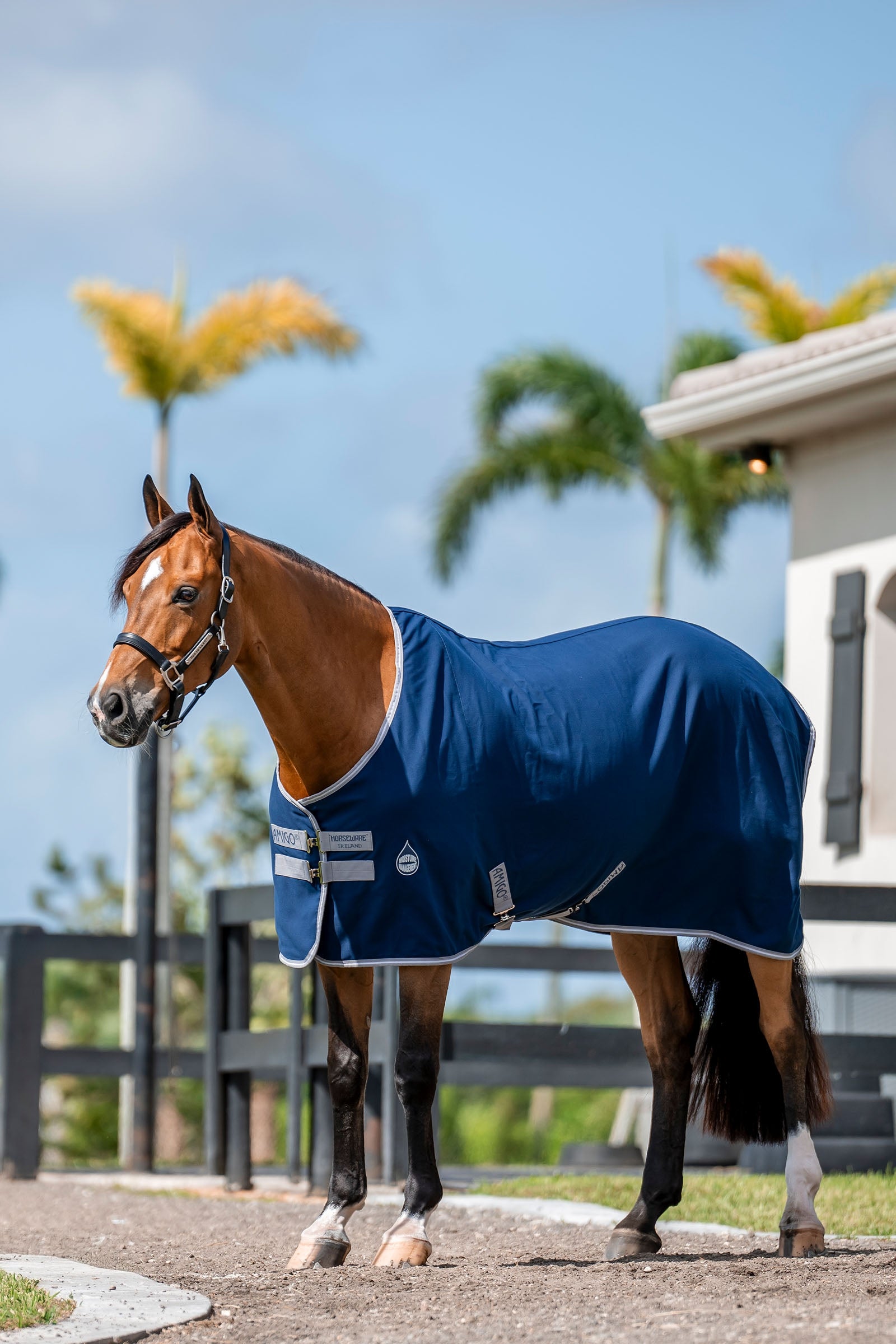 Horseware Amigo Stalltäcke, 0g Hästtäcken