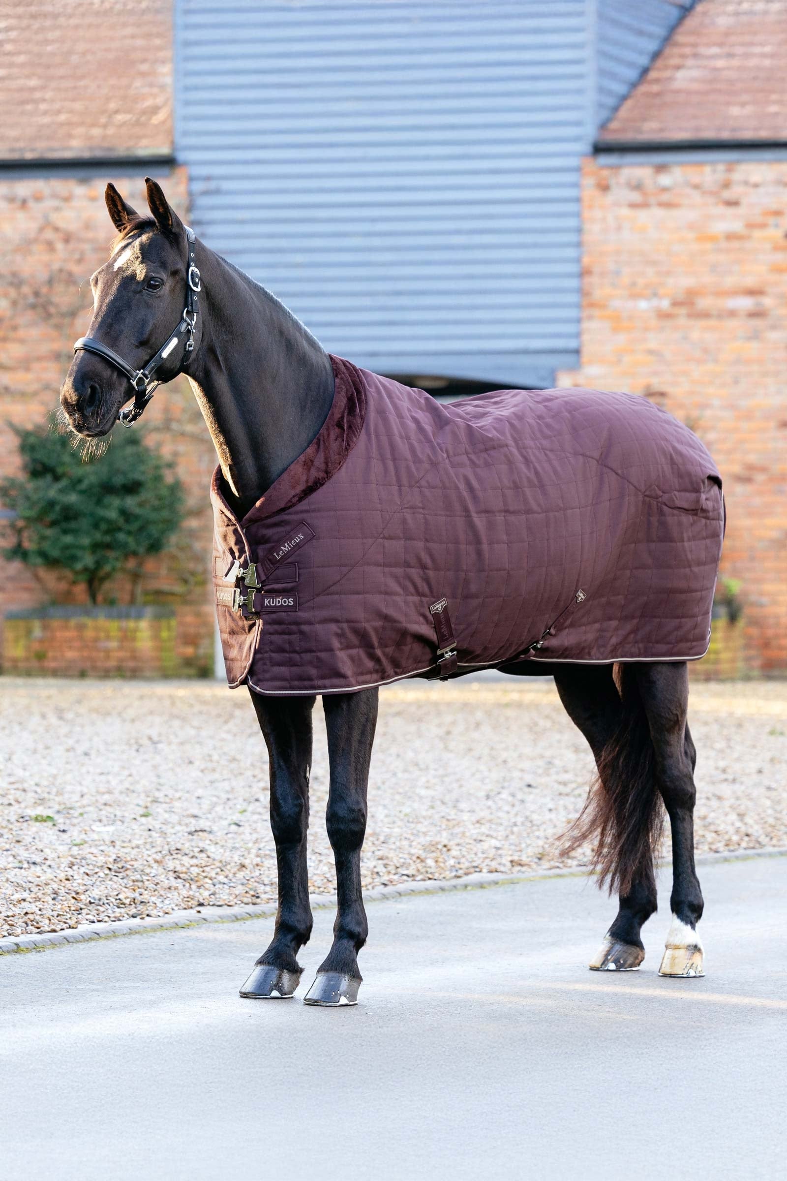 LeMieux Kudos Luxe Lined Stable Rug, 100 g Horse Rugs