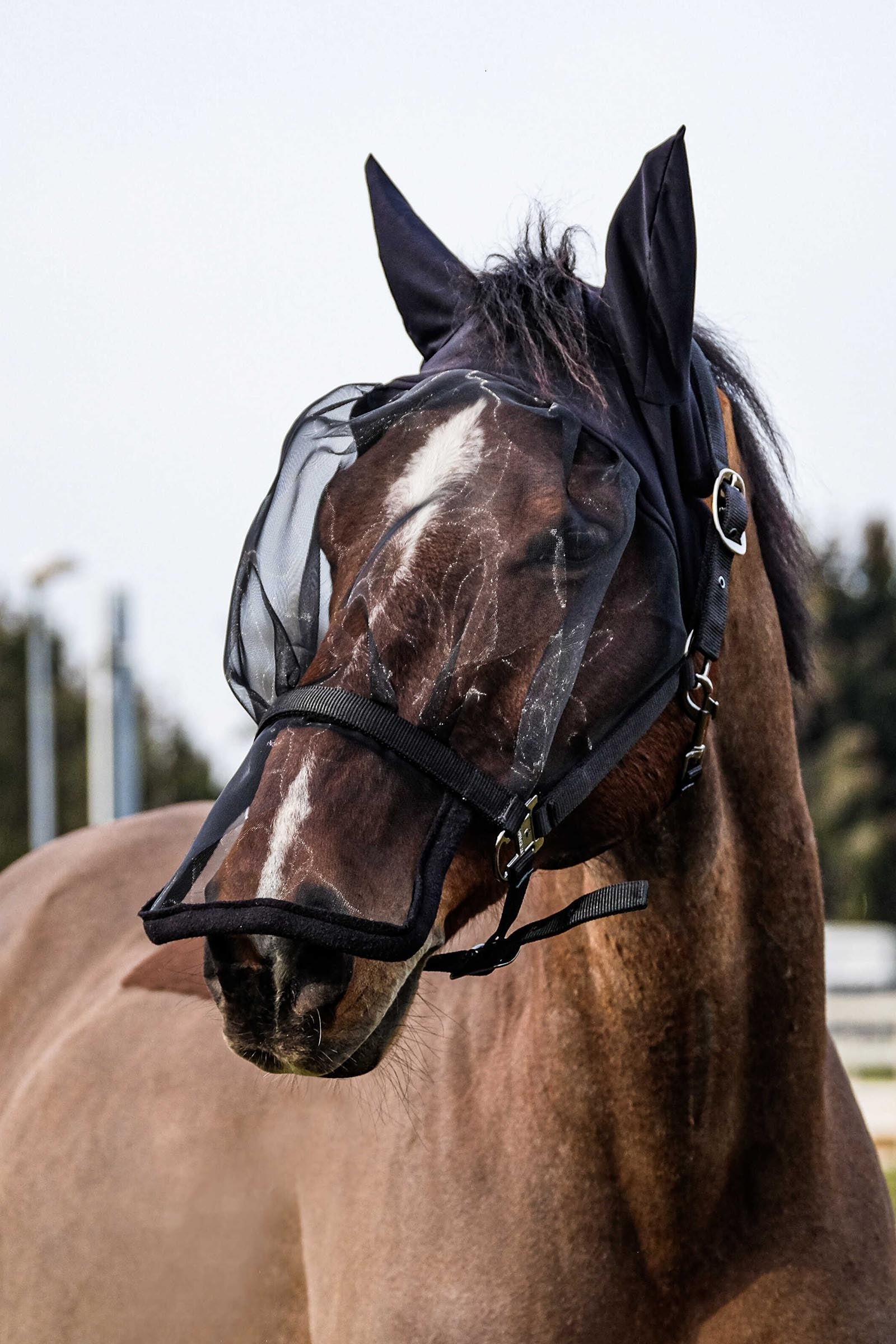 EQUITHÈME Grimma + UV-mask Flugskydd