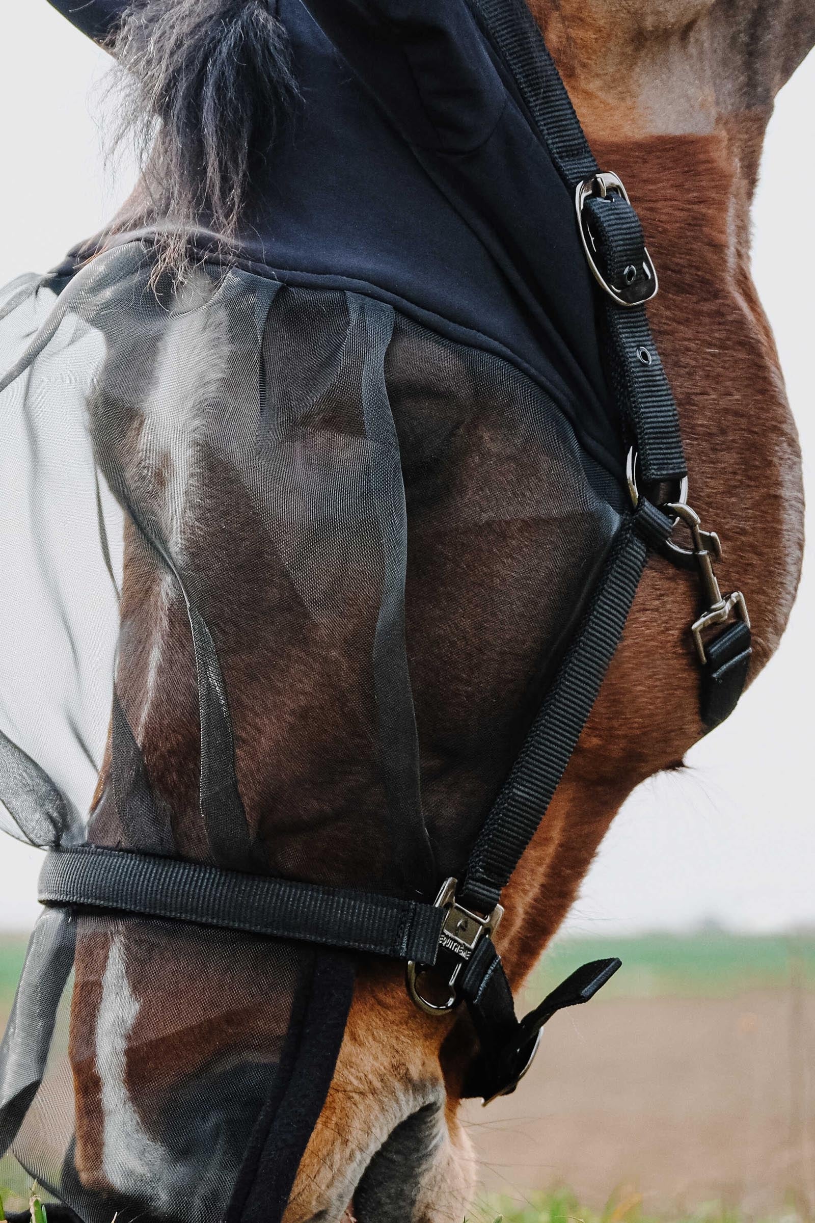 EQUITHÈME Halter + Anti UV Mask Antifly Protection for Horses