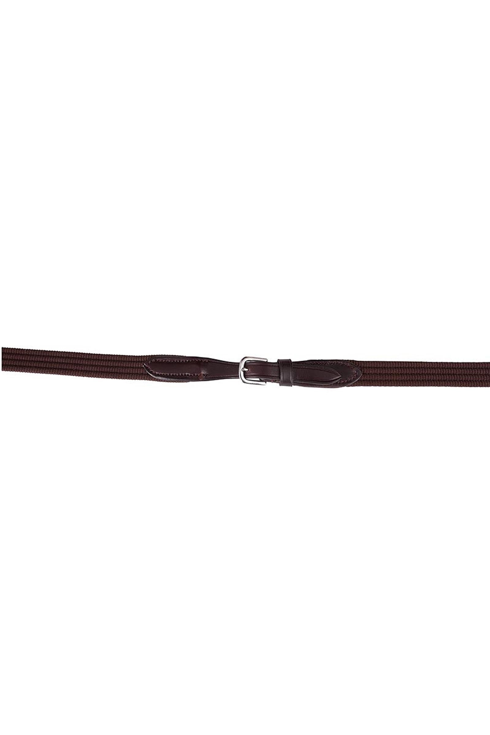 BR Web Reins Bridles & Reins