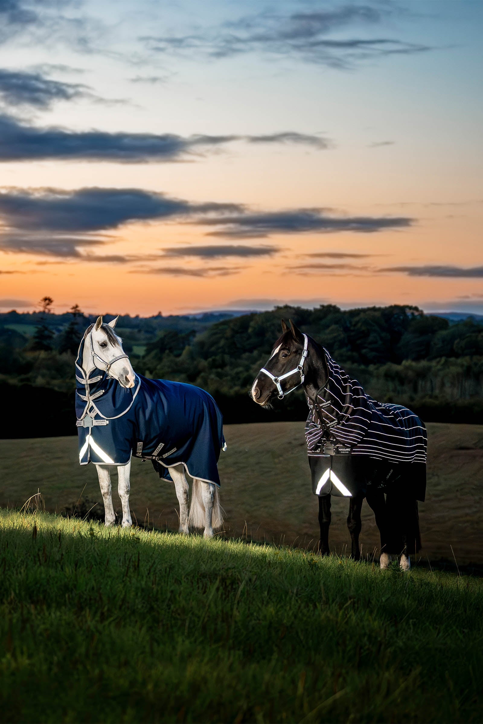 Horseware Amigo 1200D FieldSafe Plus Turnout Rug, 0 g Horse Rugs