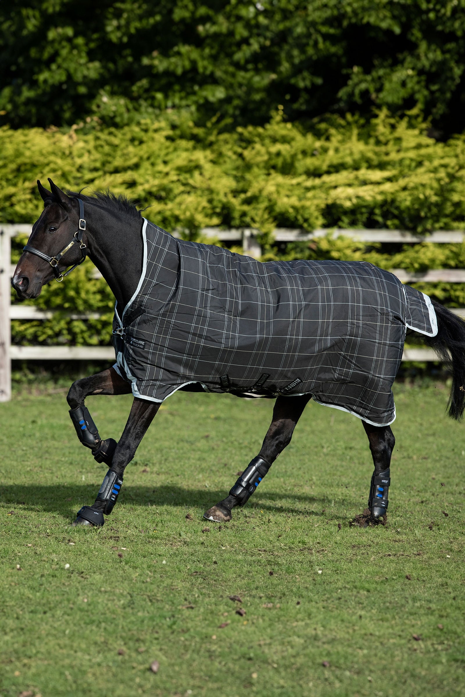 Horseware Rhino Wug utetäcke, 100 g Hästtäcken