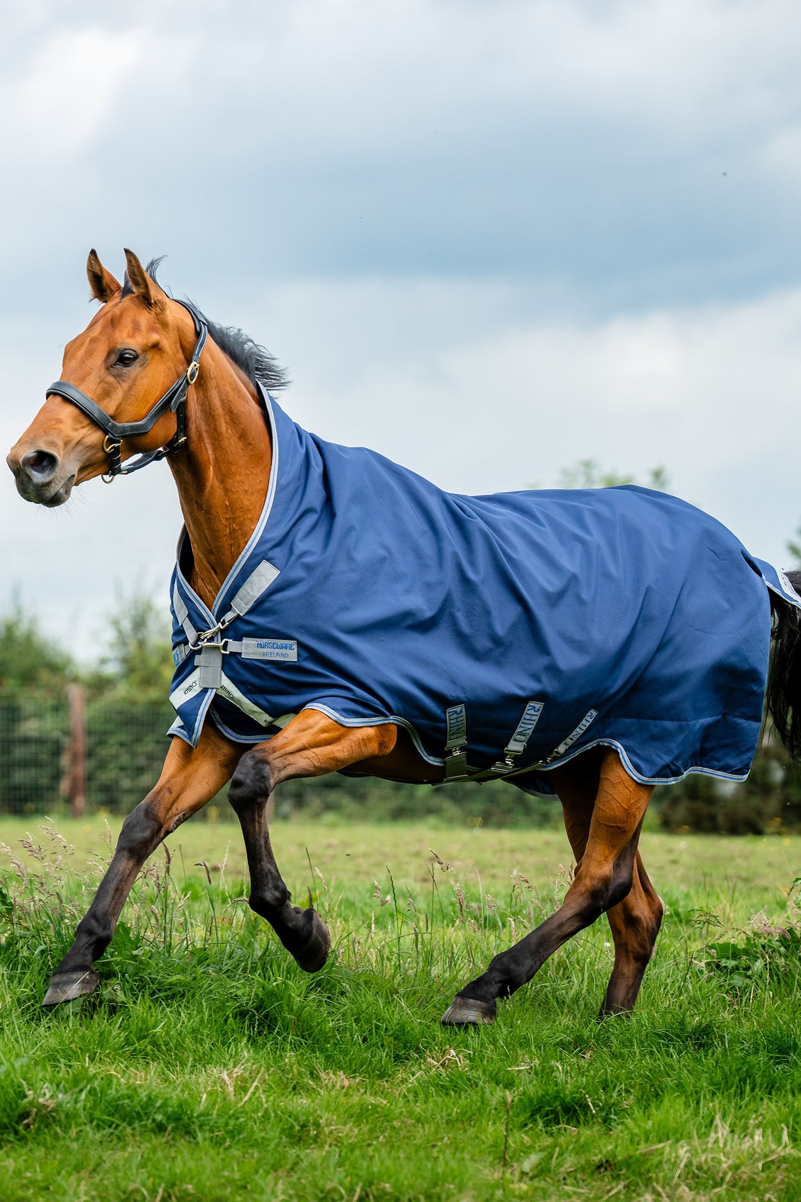 Horseware Rhino Wug Turnout 100g Horse Rugs