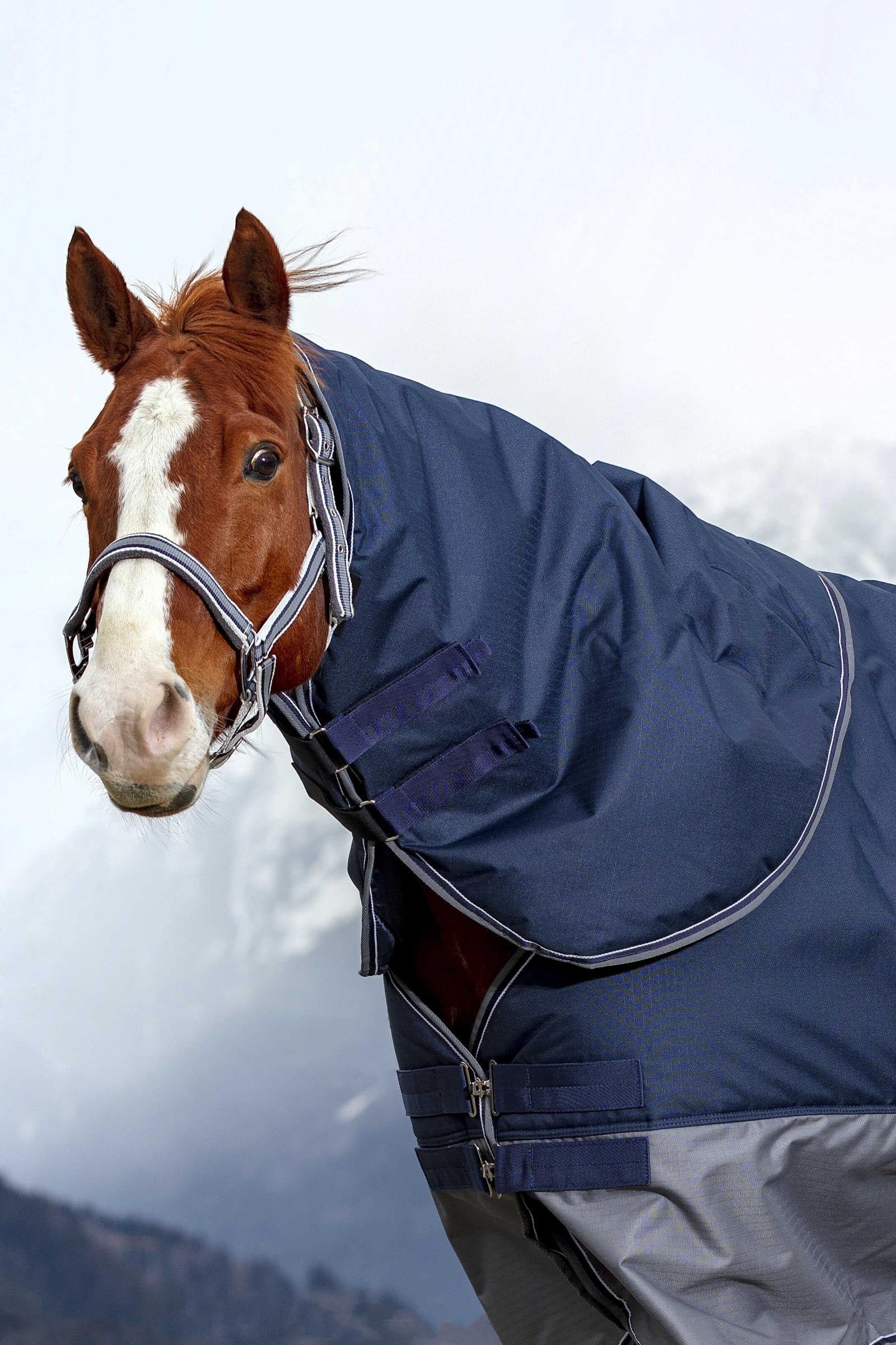 Equi Theme EQUITHÈME TYREX 600D Neck Cover, 0 g Horse Rugs