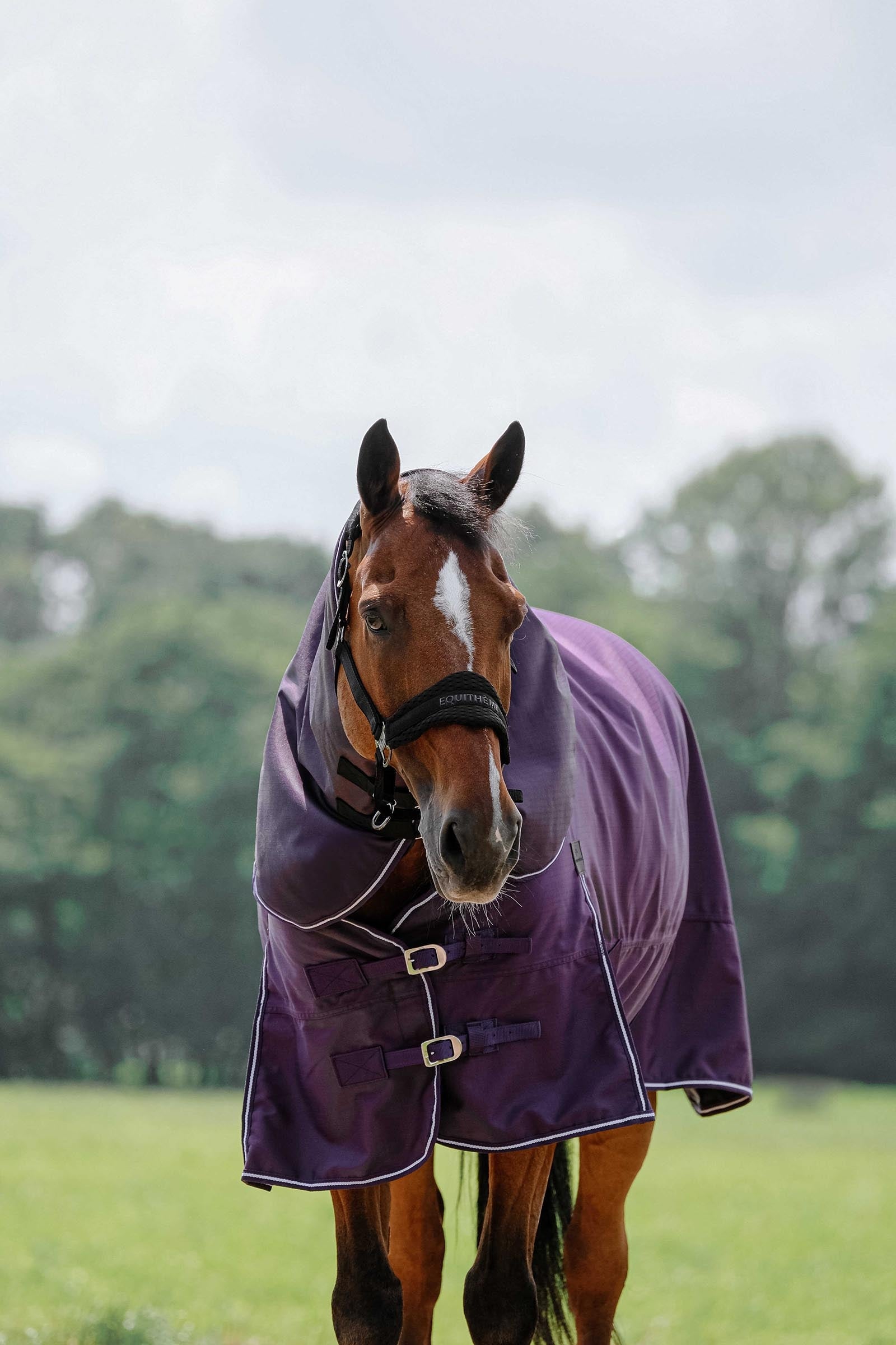 Equi Theme EQUITHÈME TYREX 600D Neck Cover Plume 200 g Horse Rugs