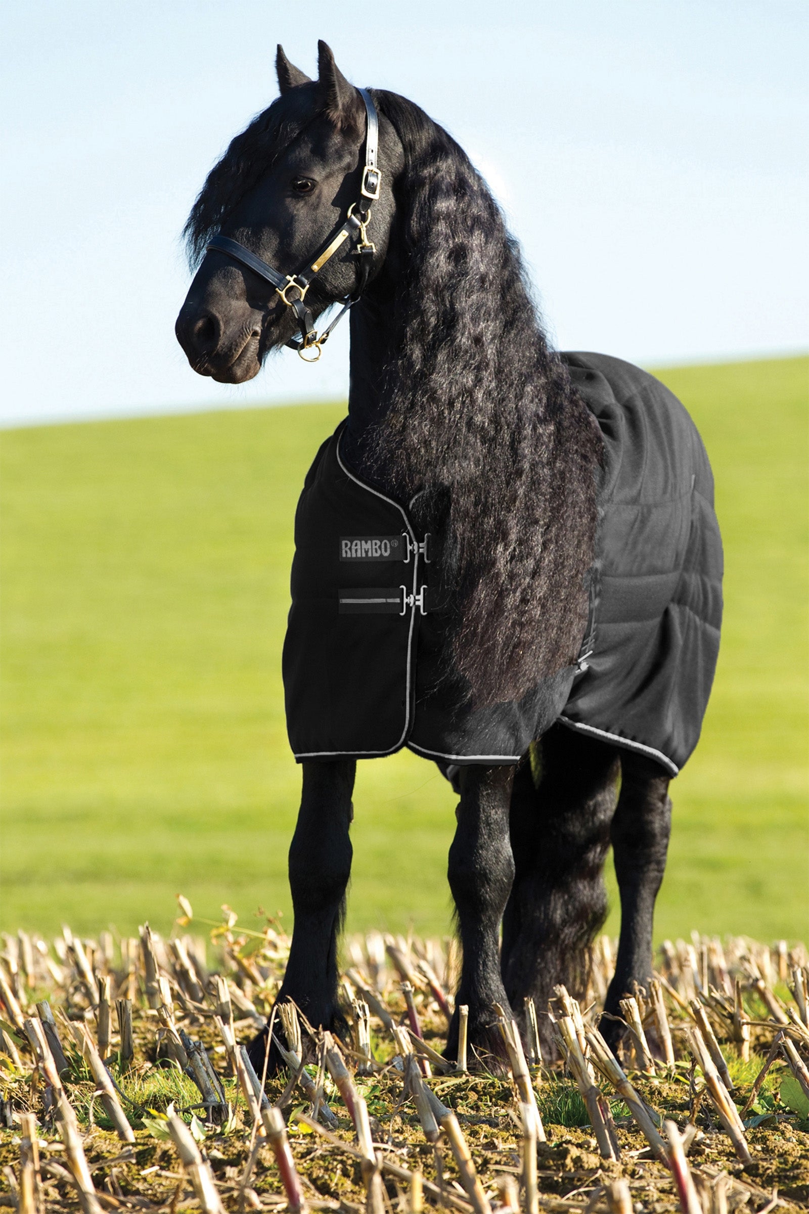 Horseware Rambo Stable 200g Horse Rugs