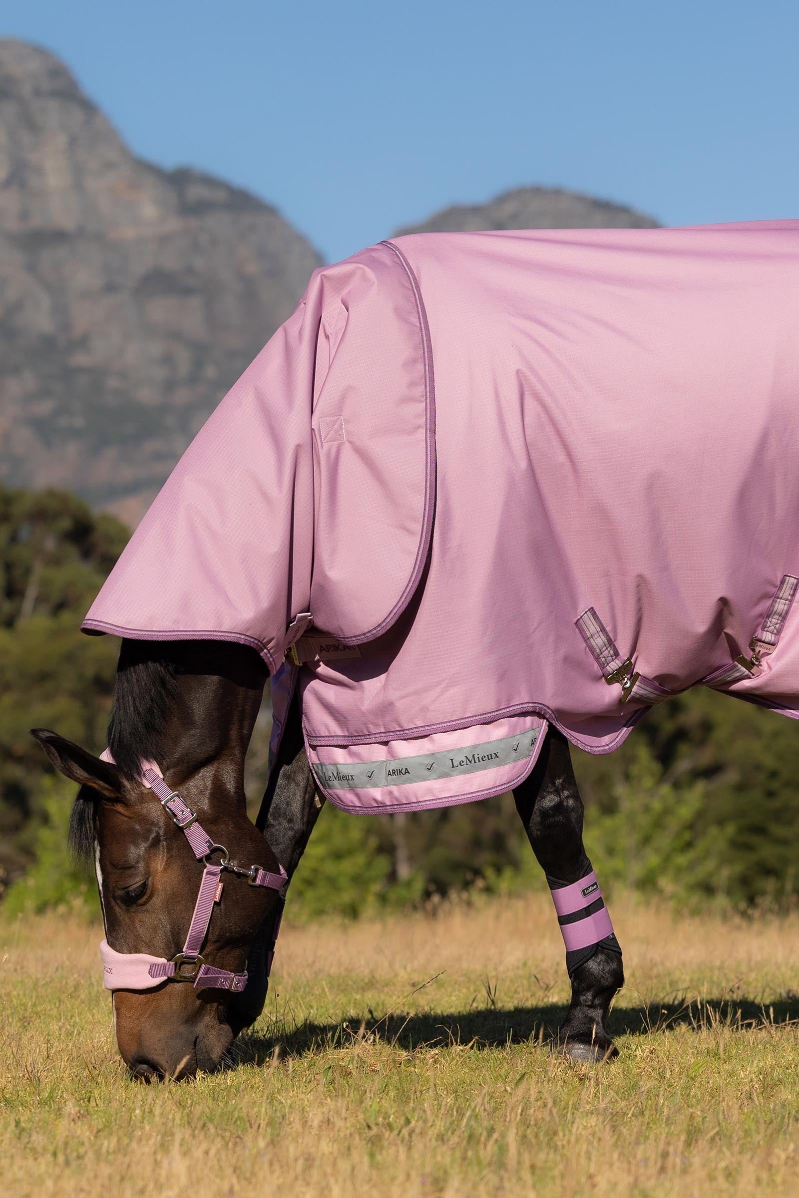 LeMieux Arika Ripstop Turnout Rug With Detachable Neck, 0 g Horse Rugs