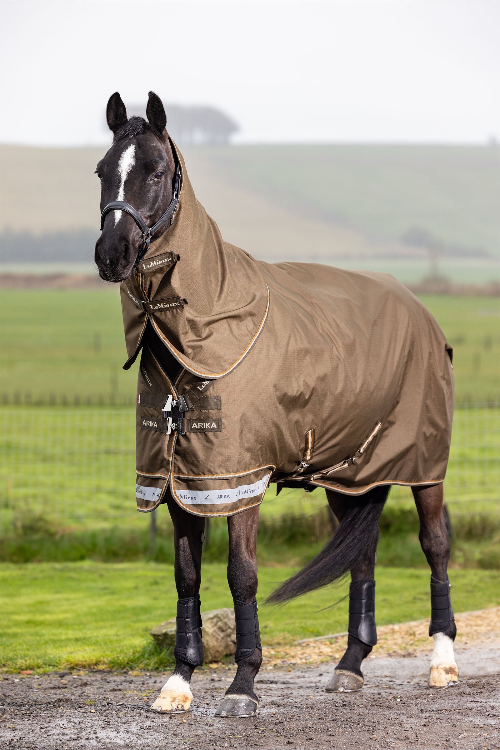 LeMieux Arika Ripstop Turnout Rug With Detachable Neck, 0 g Horse Rugs