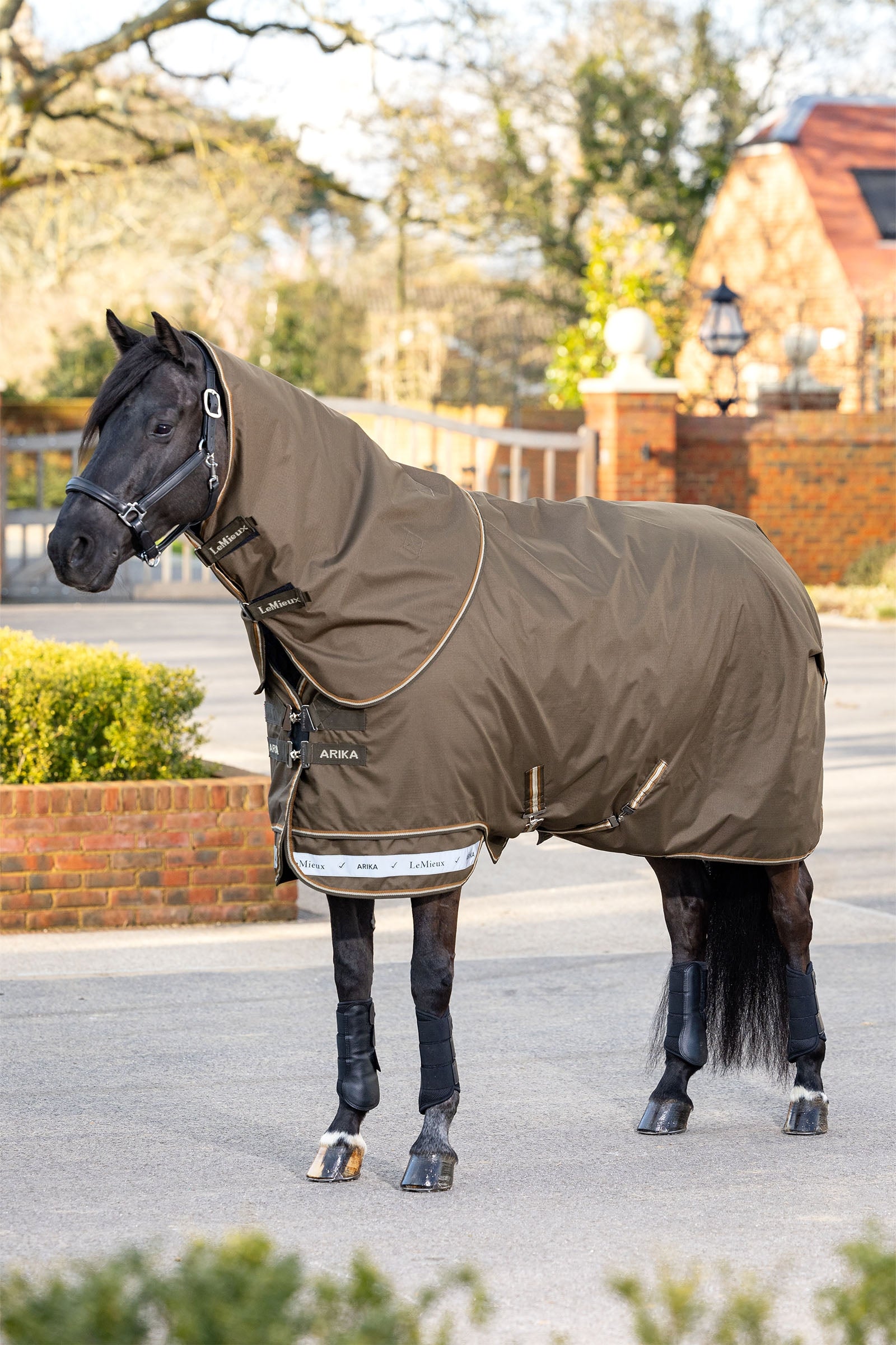 LeMieux Arika Ripstop Turnout Rug With Detachable Neck, 0 g Horse Rugs