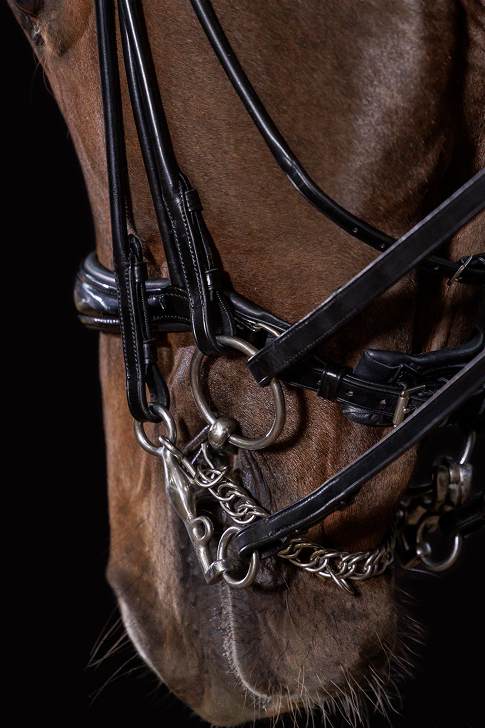 Schockemöhle Sports Kensington Double Bridle rolled Bridles & Reins