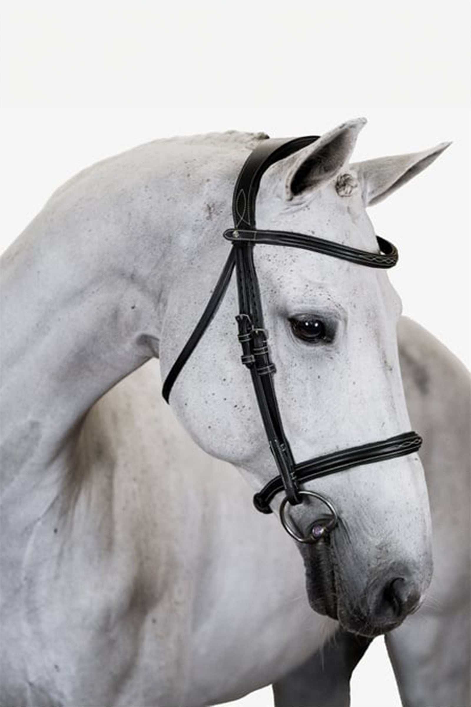 PS of Sweden Bridle Ocala Bridles & Reins