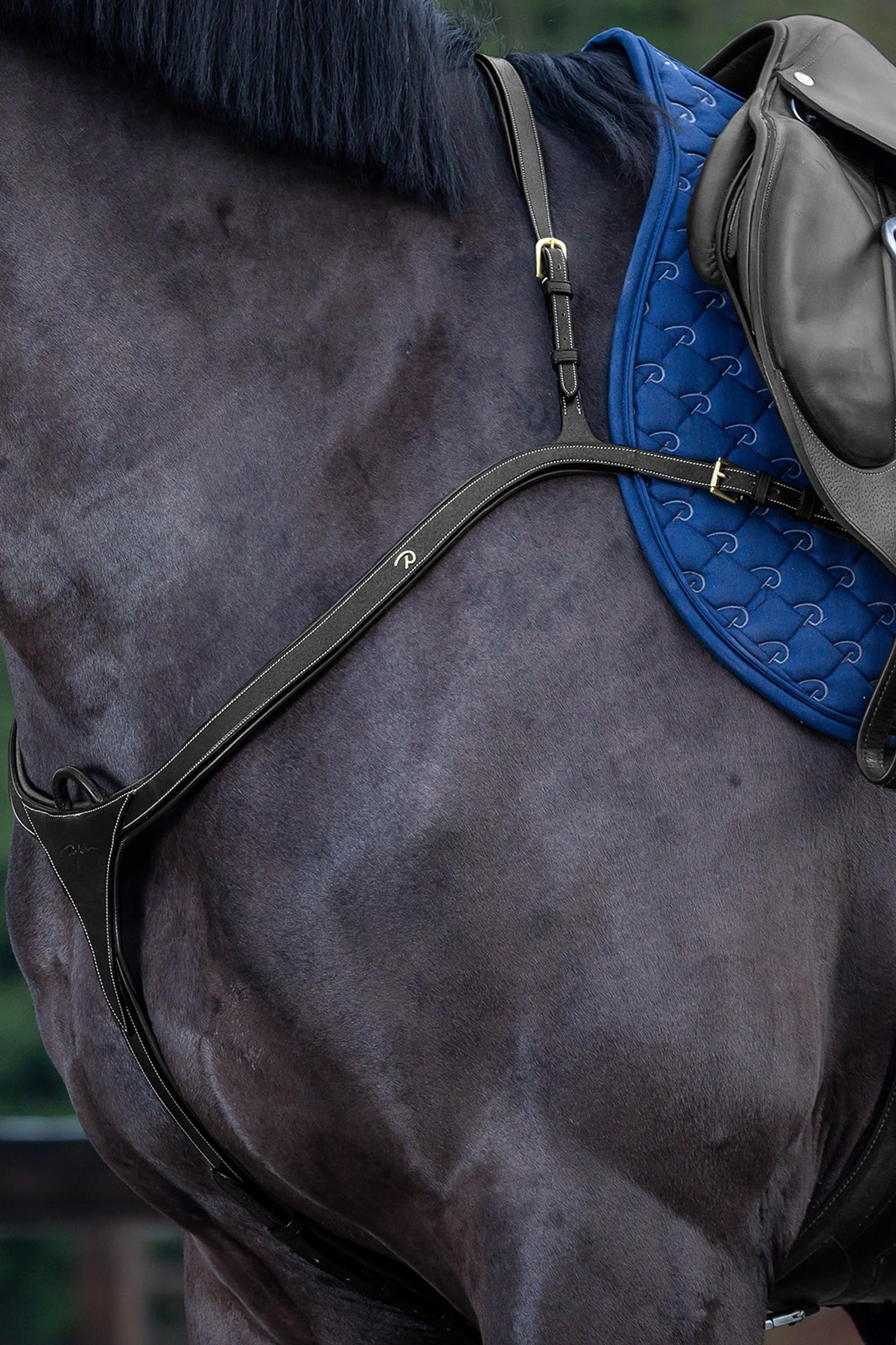 Dy'on D Collection brösta med lång bro Träns & Tyglar