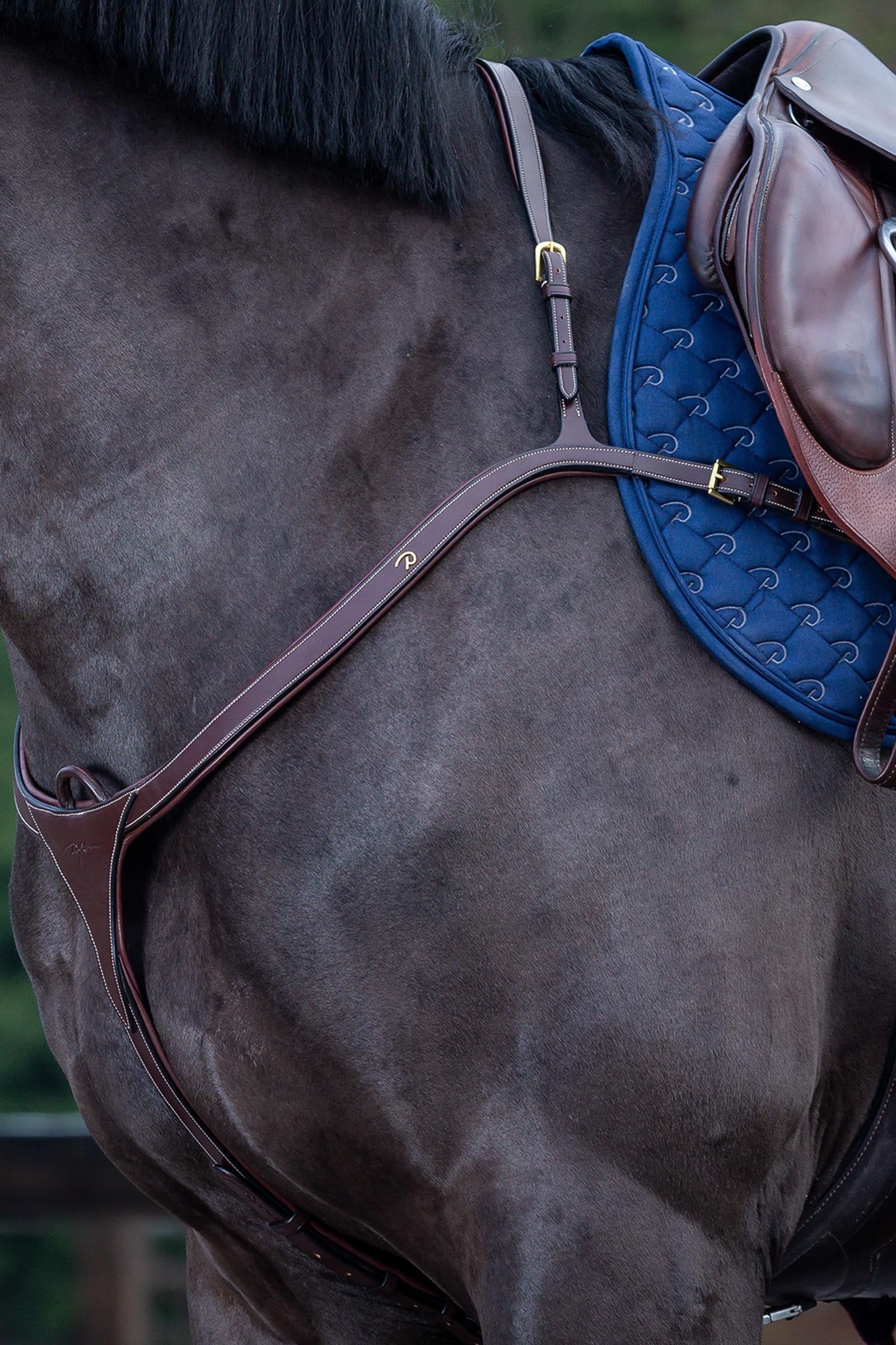 Dy'on D Collection brösta med lång bro Träns & Tyglar