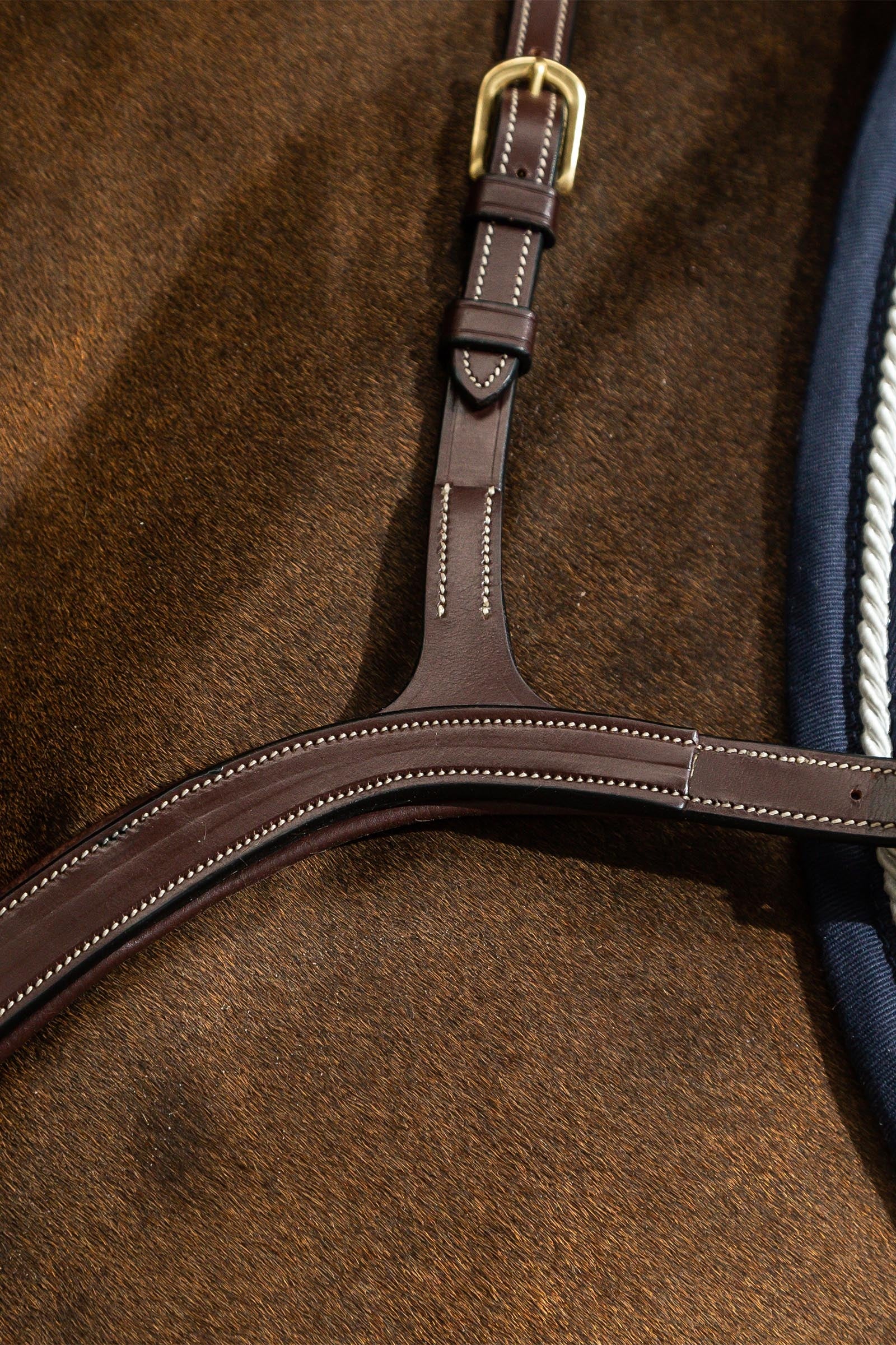 Dy'on D Collection Long Bridge Breastplate Bridles & Reins