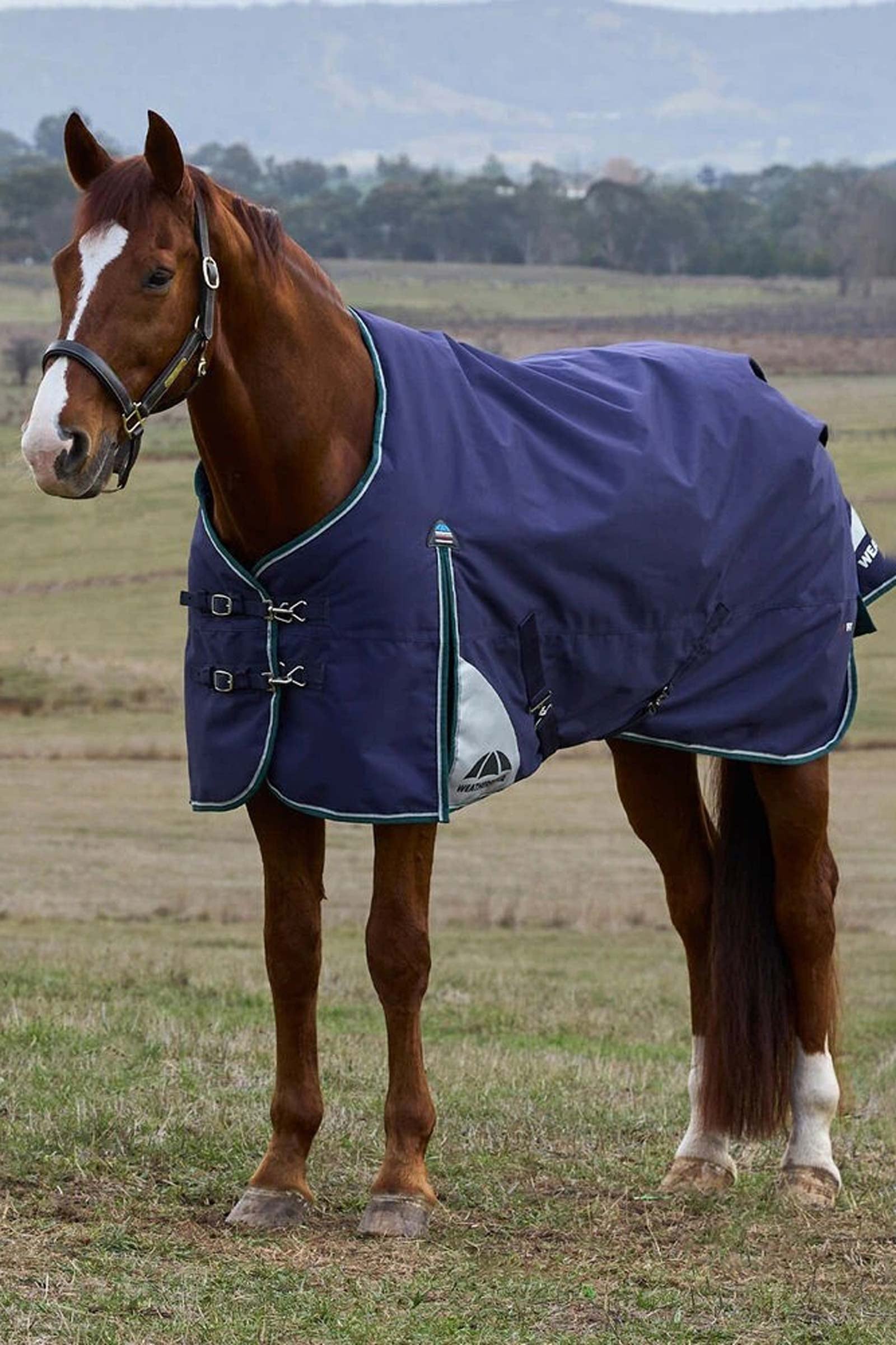 Weatherbeeta ComFiTecPlus Dynamic Turnout Standard Neck 0G Hästtäcken